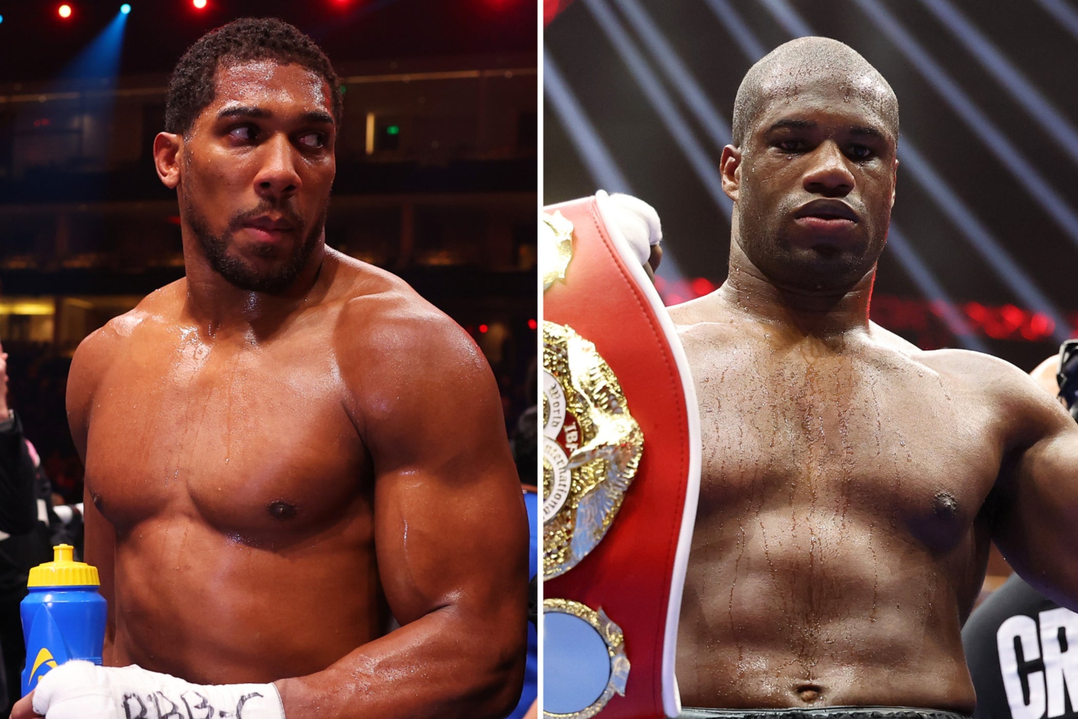 Anthony Joshua (left) and Daniel Dubois will square off in September