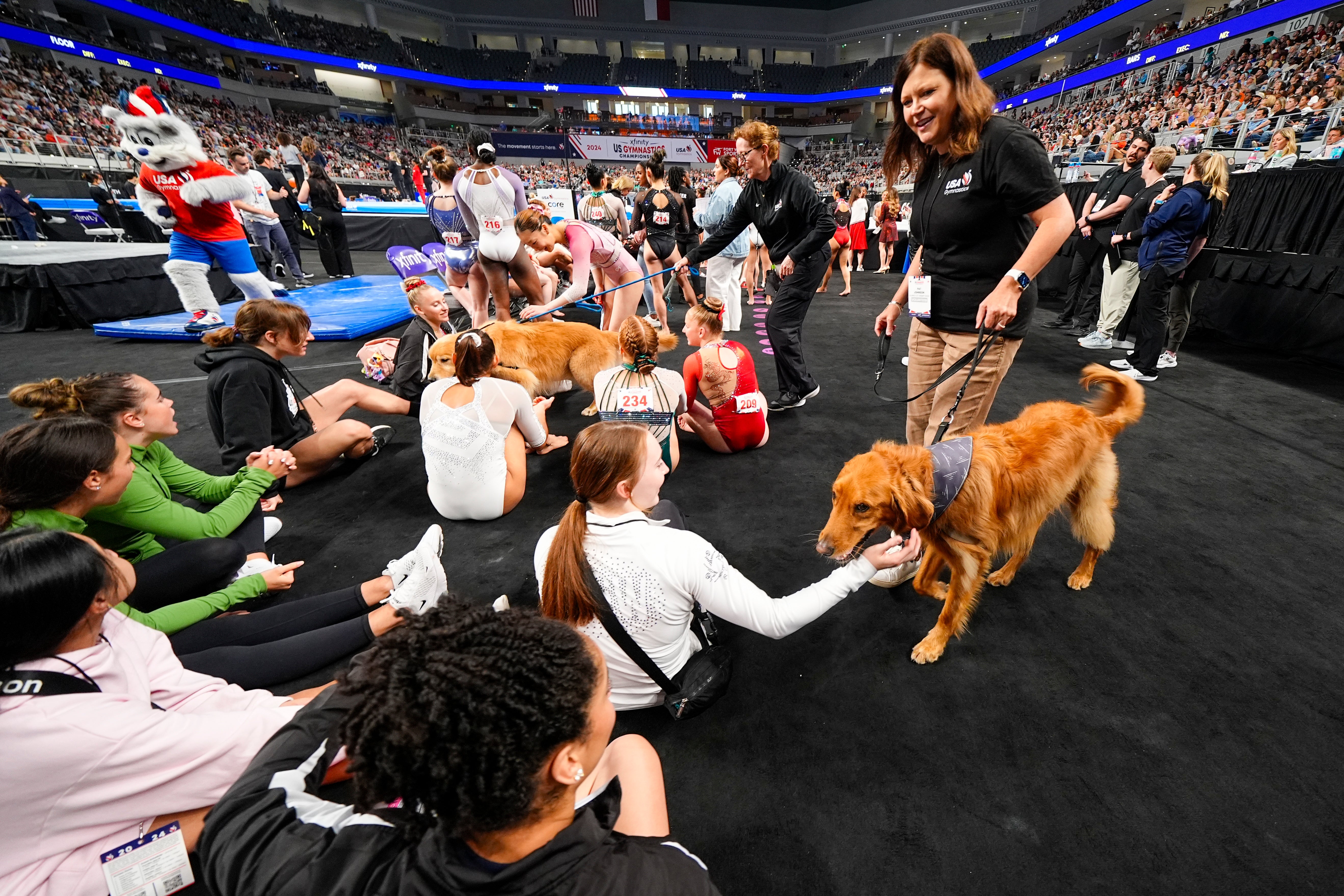 USA Gymnastics Overhaul