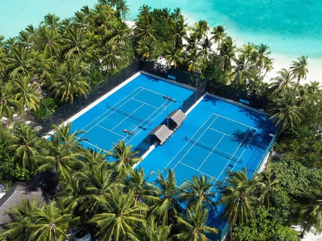 <p>Play among the palm trees in the Maldives </p>