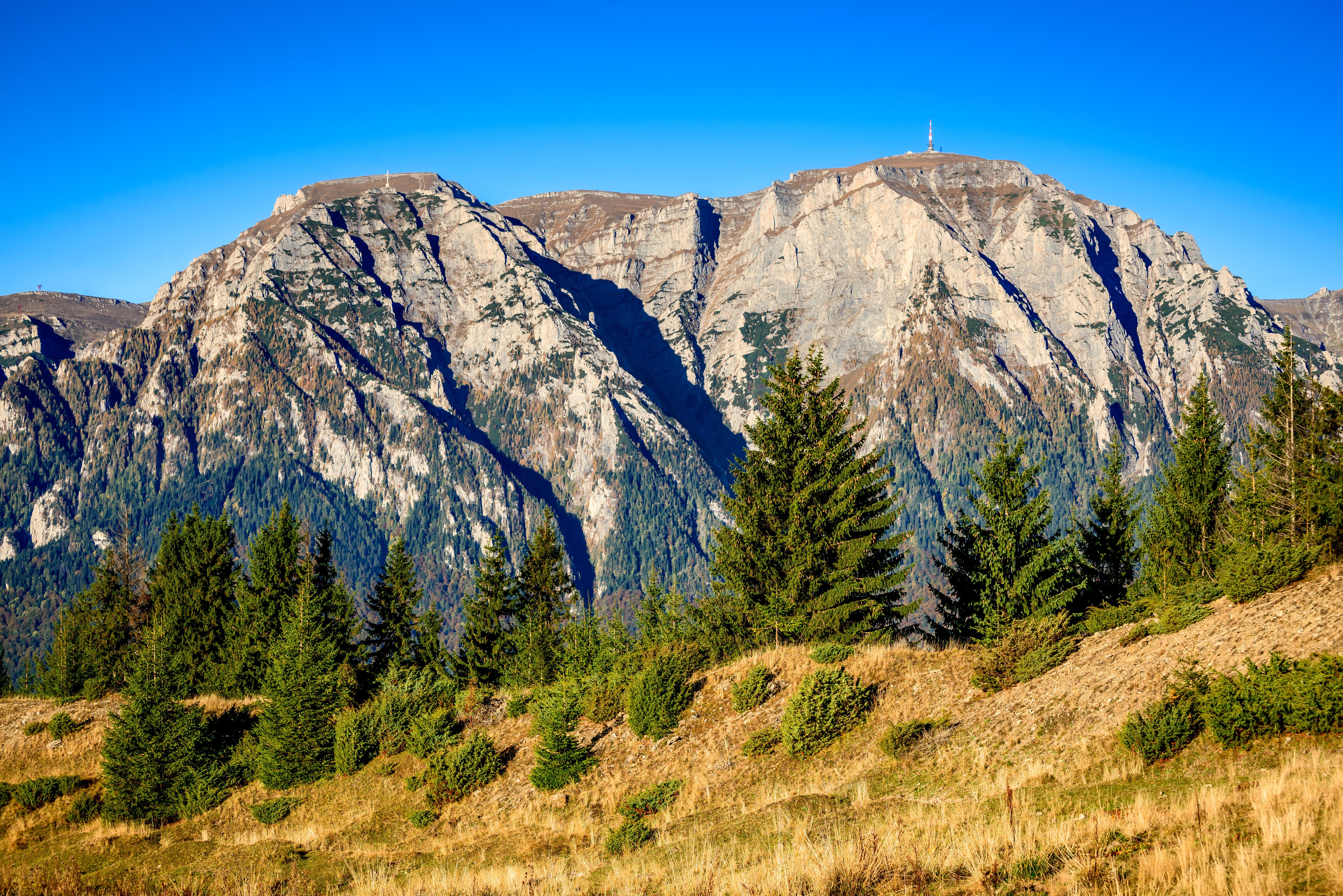 The Carpathian Mountains (Alamy/PA)