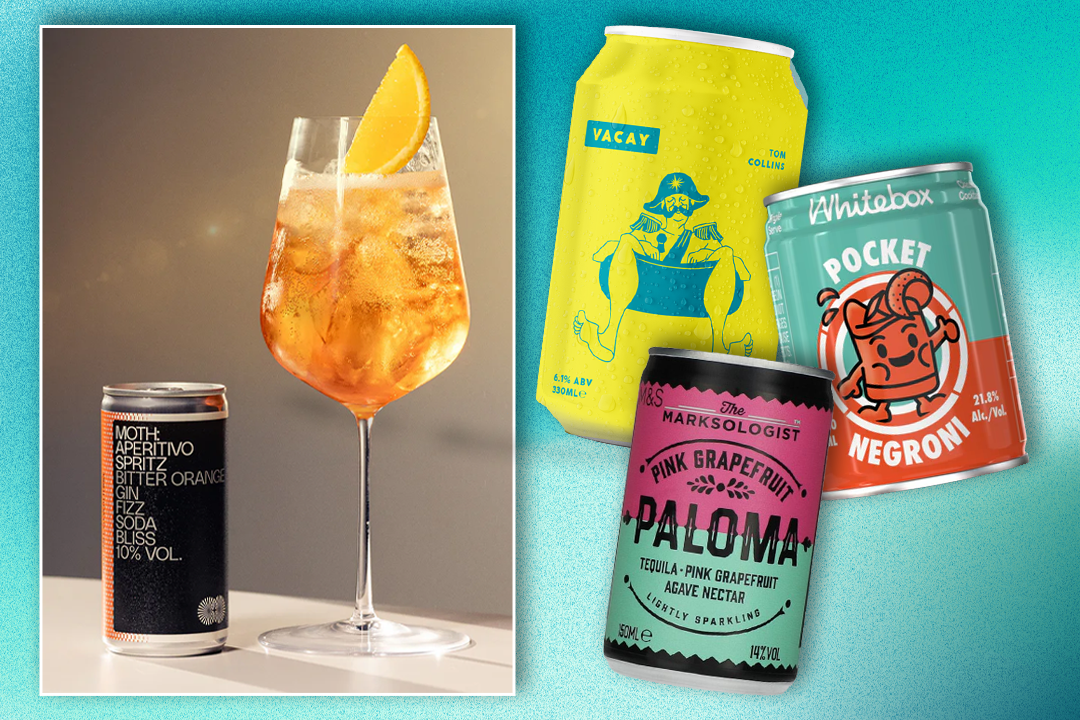 13 best cocktail cans for summertime sipping