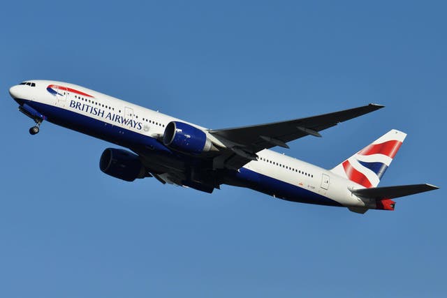 <p>The runway at Gatwick was closed following a problem with a departing BA plane </p>