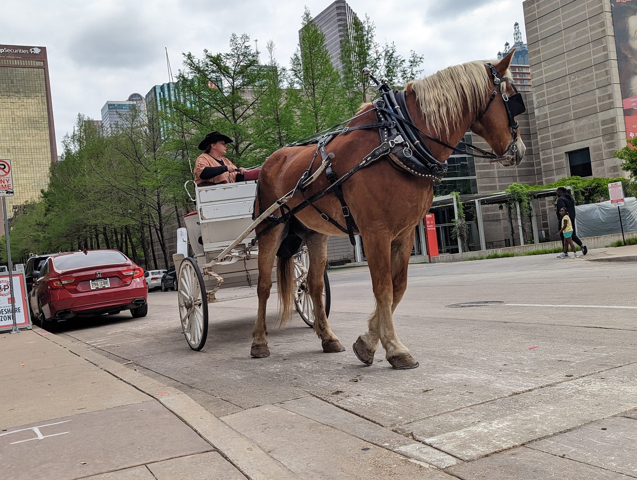 Activists in favor of the ban say the carriages, like this one pictured in Dallas, can be dangerous for both horses and drivers