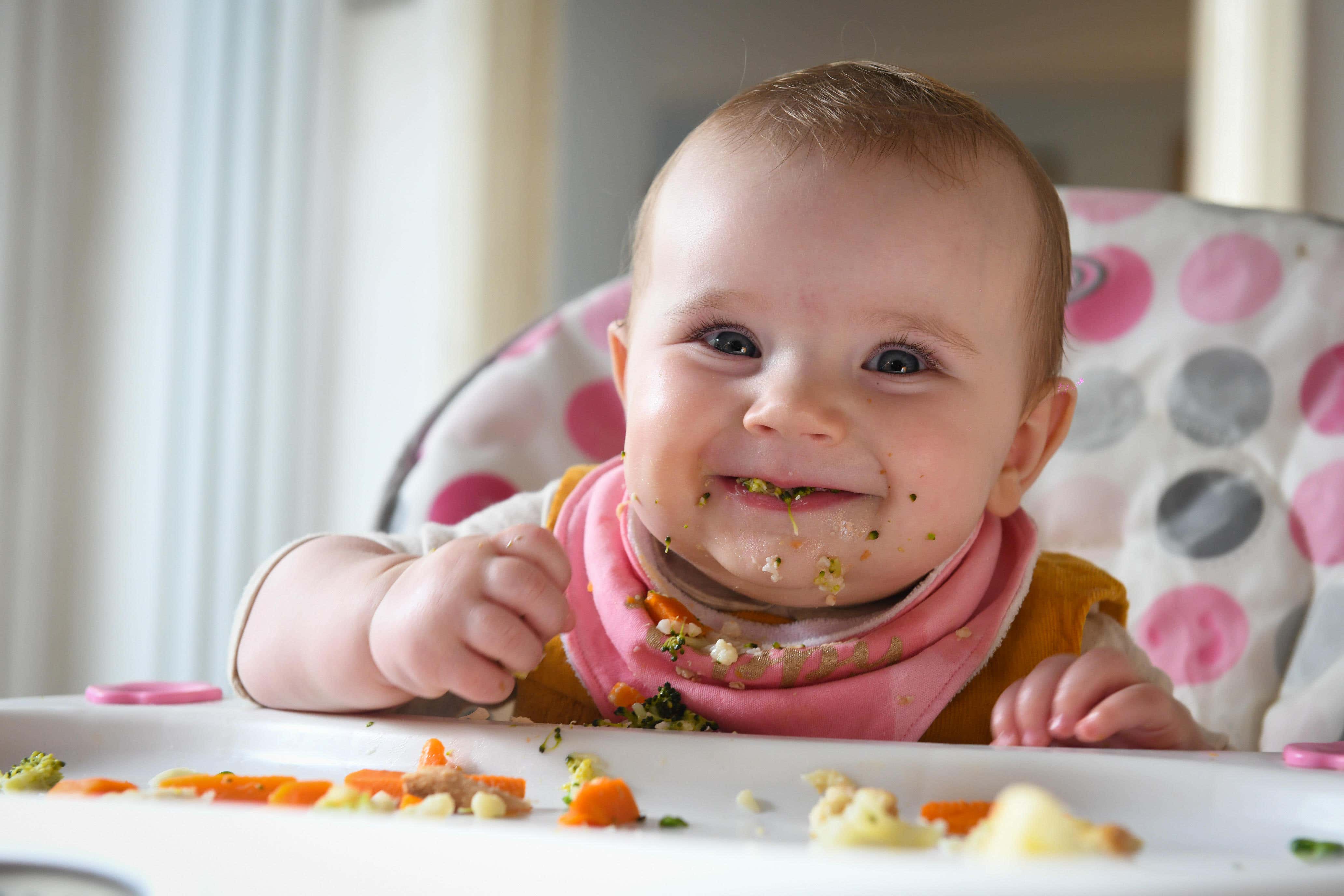 2019 study found that pouches have ‘lower nutritional value’ than other packaged baby food like jars