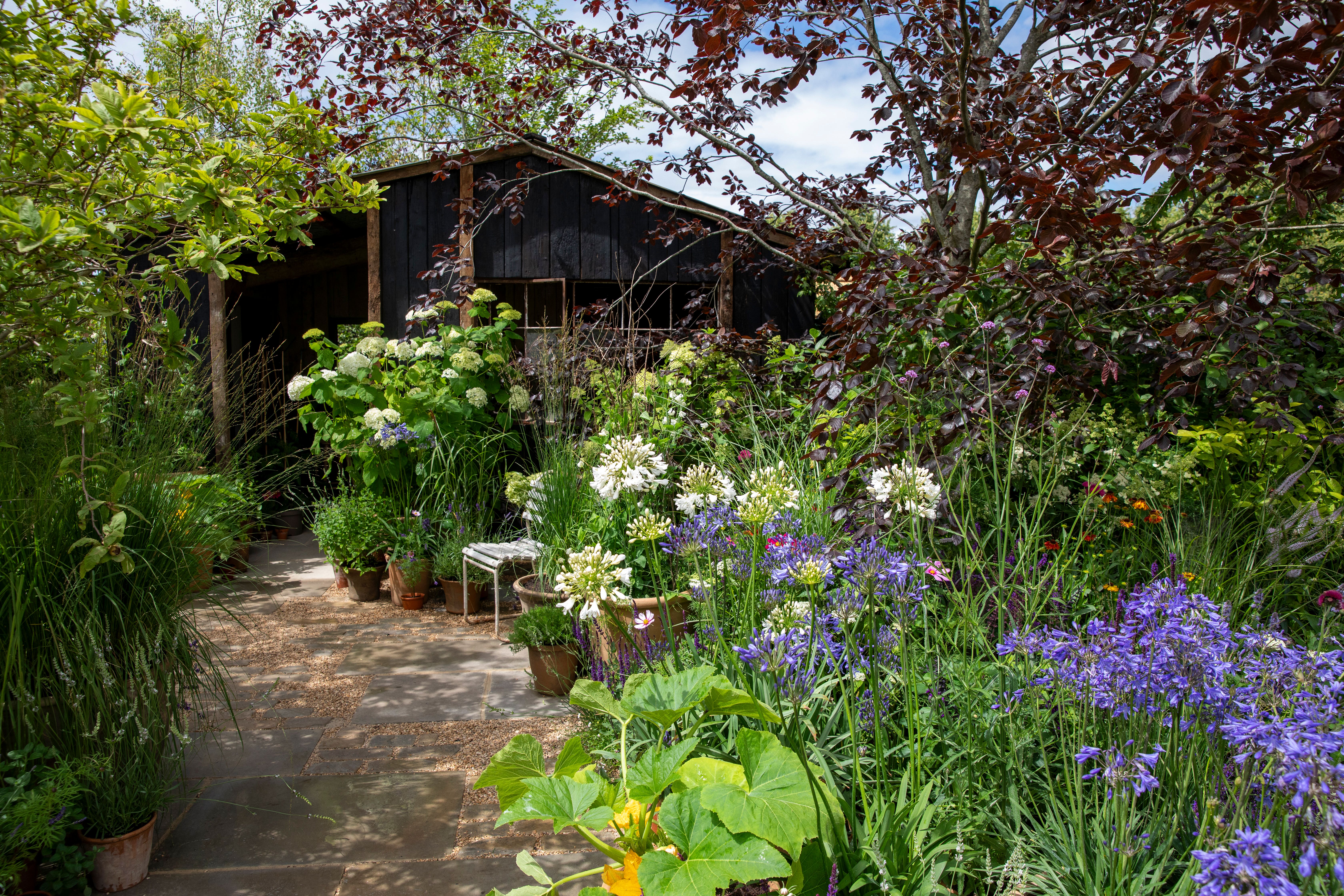 RHS Money-Saving Garden designed by Anya Lautenbach and Jamie Butterworth (RHS/Sarah Cuttle/PA)