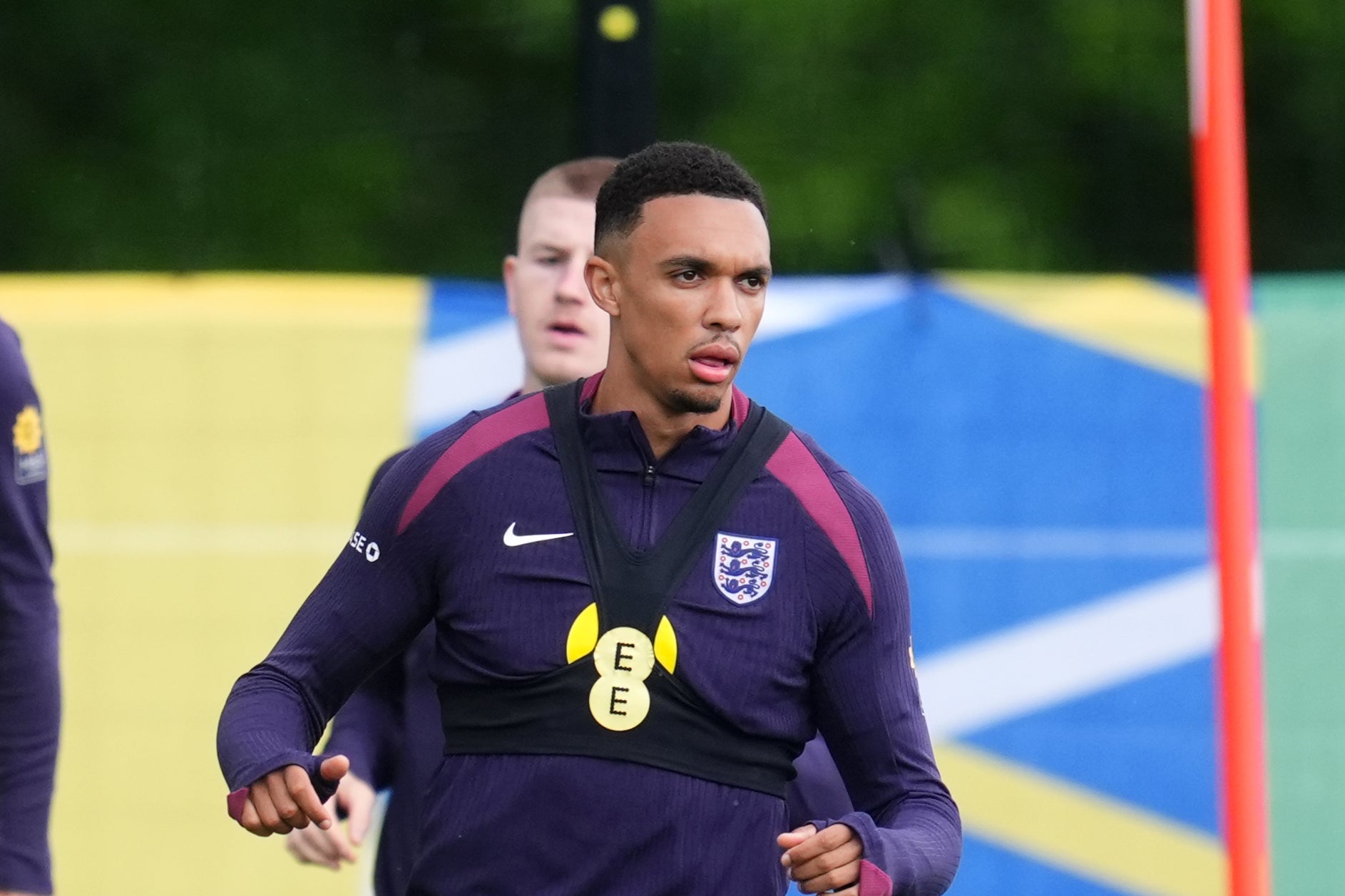 Alexander-Arnold during training