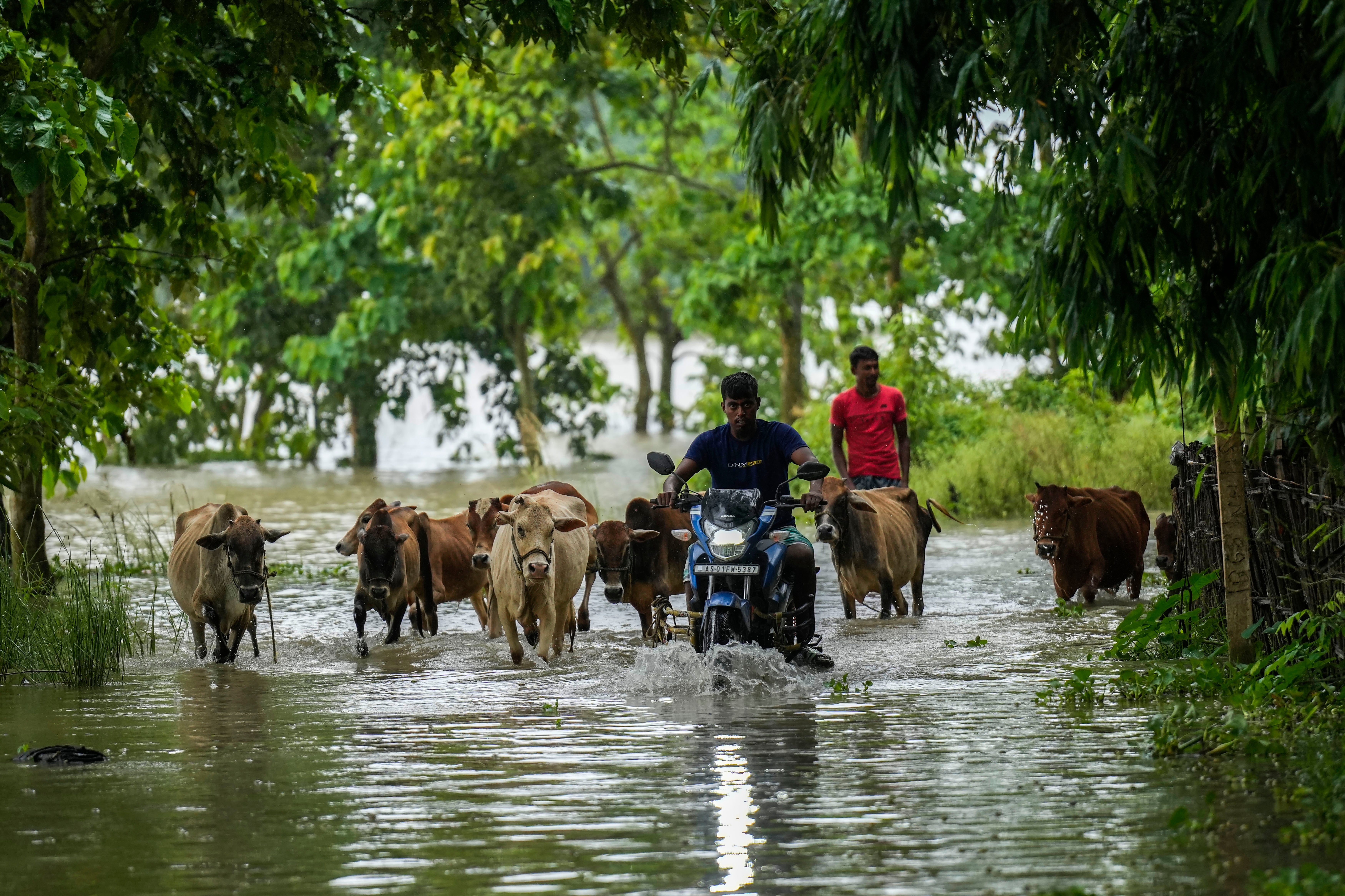 APTOPIX India Floods