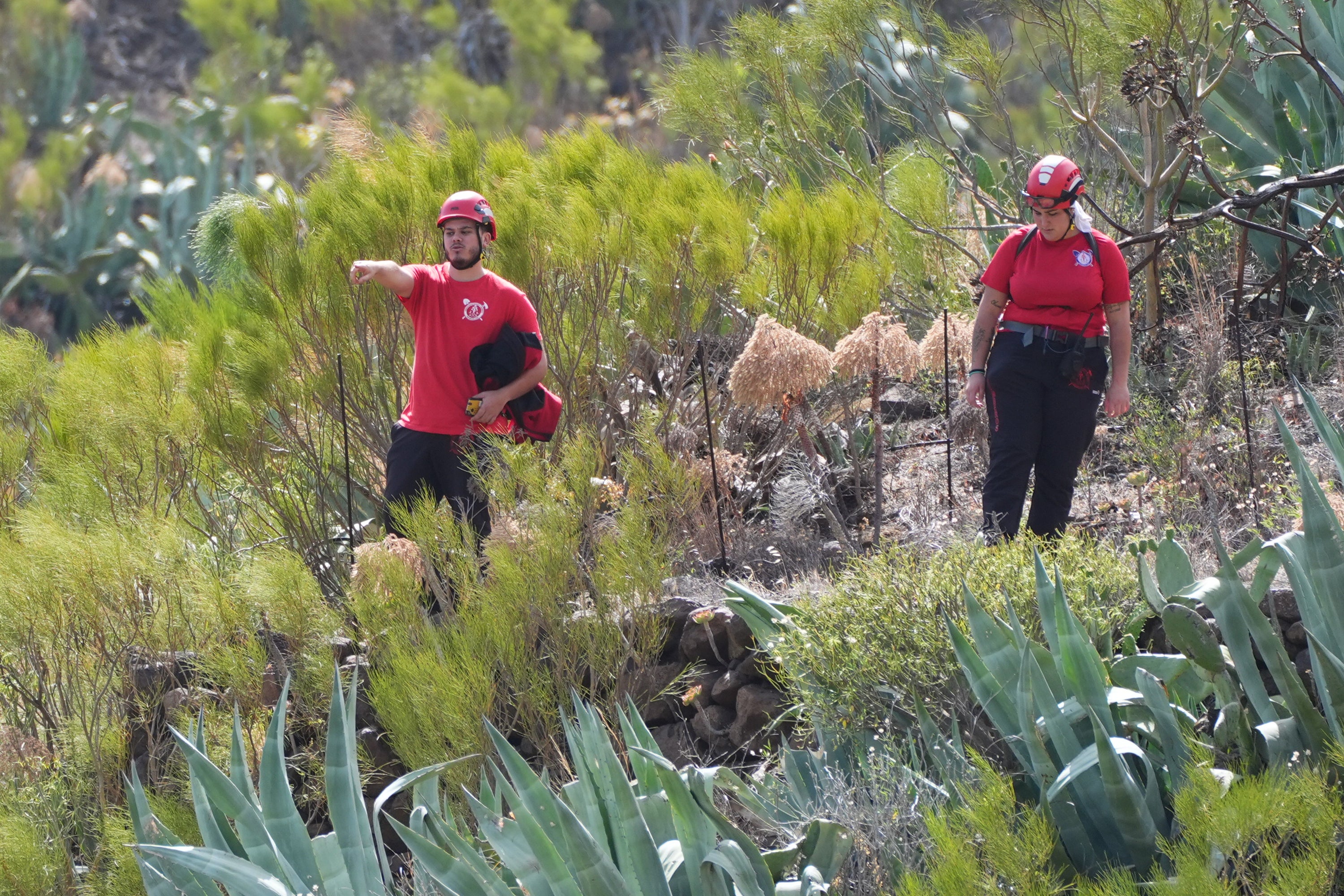 A frantic search was launched for the apprentice bricklayer soon after he disappeared, with police, mountain rescue teams and volunteers scouring the mountainous terrain for three weeks