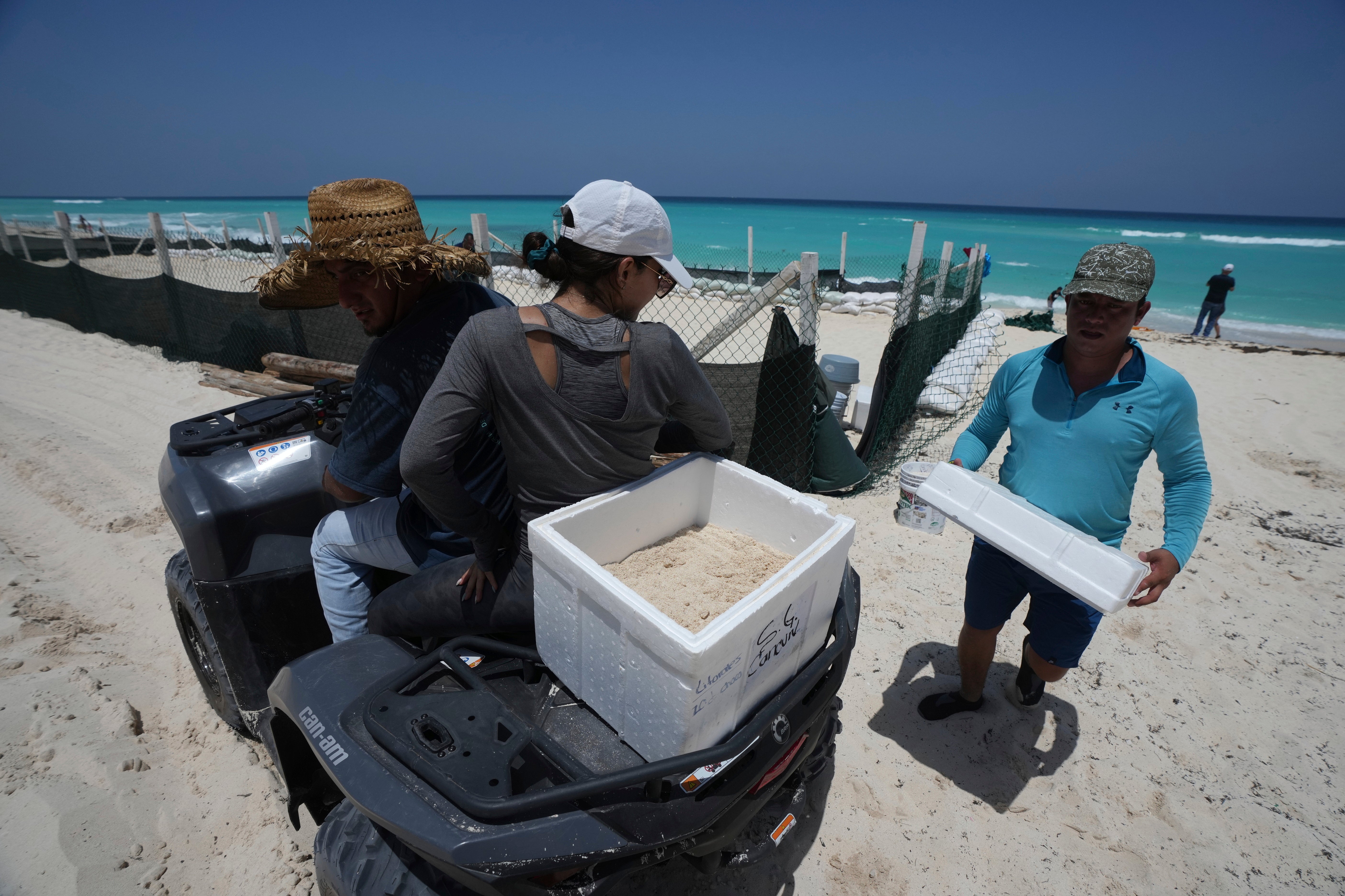 State employees evacuate turtle eggs from the beach to protect them from Hurricane Beryl, in Cancun, Mexico, on Wednesday