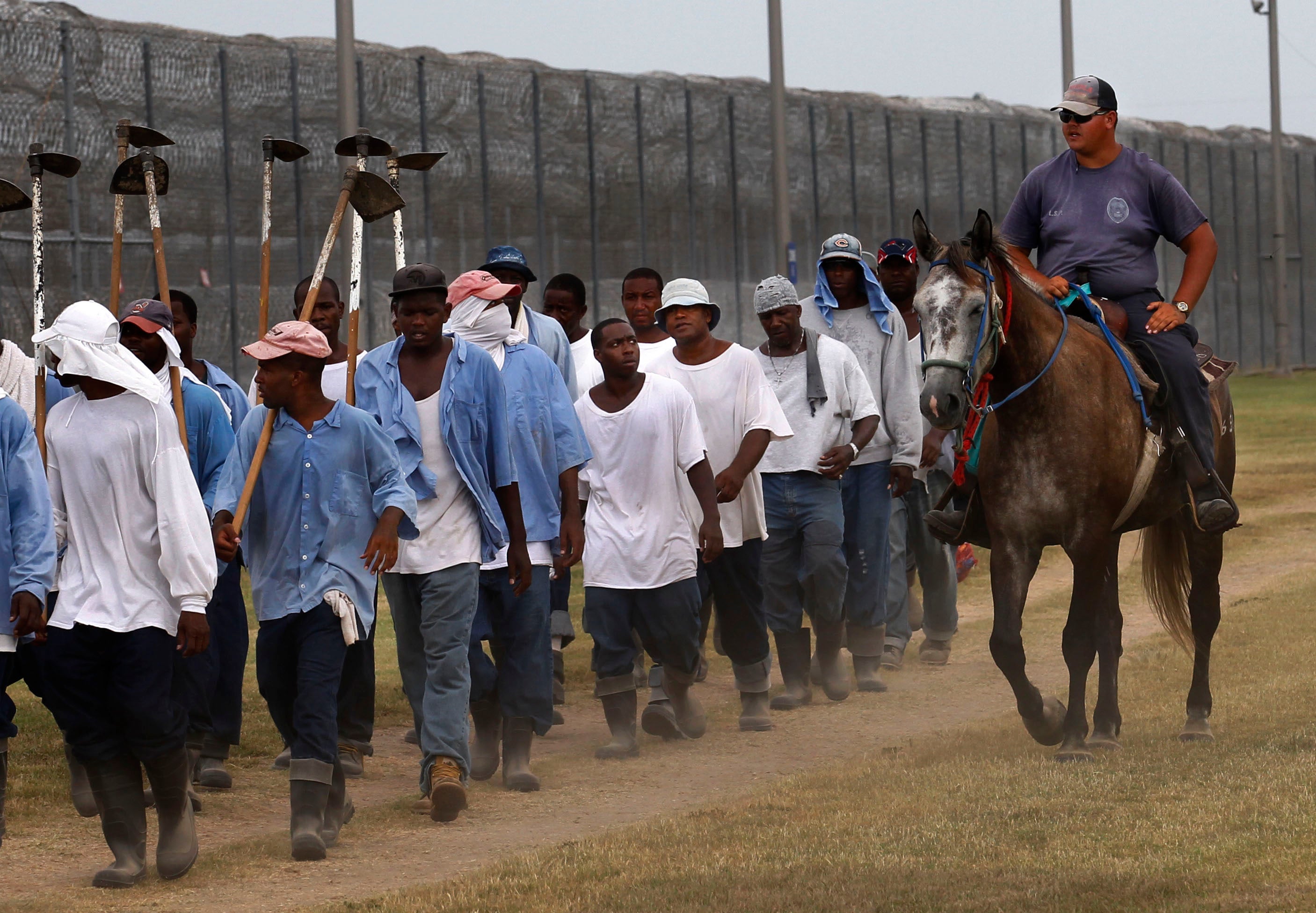 Prison to Plate Inmate Labor Heat