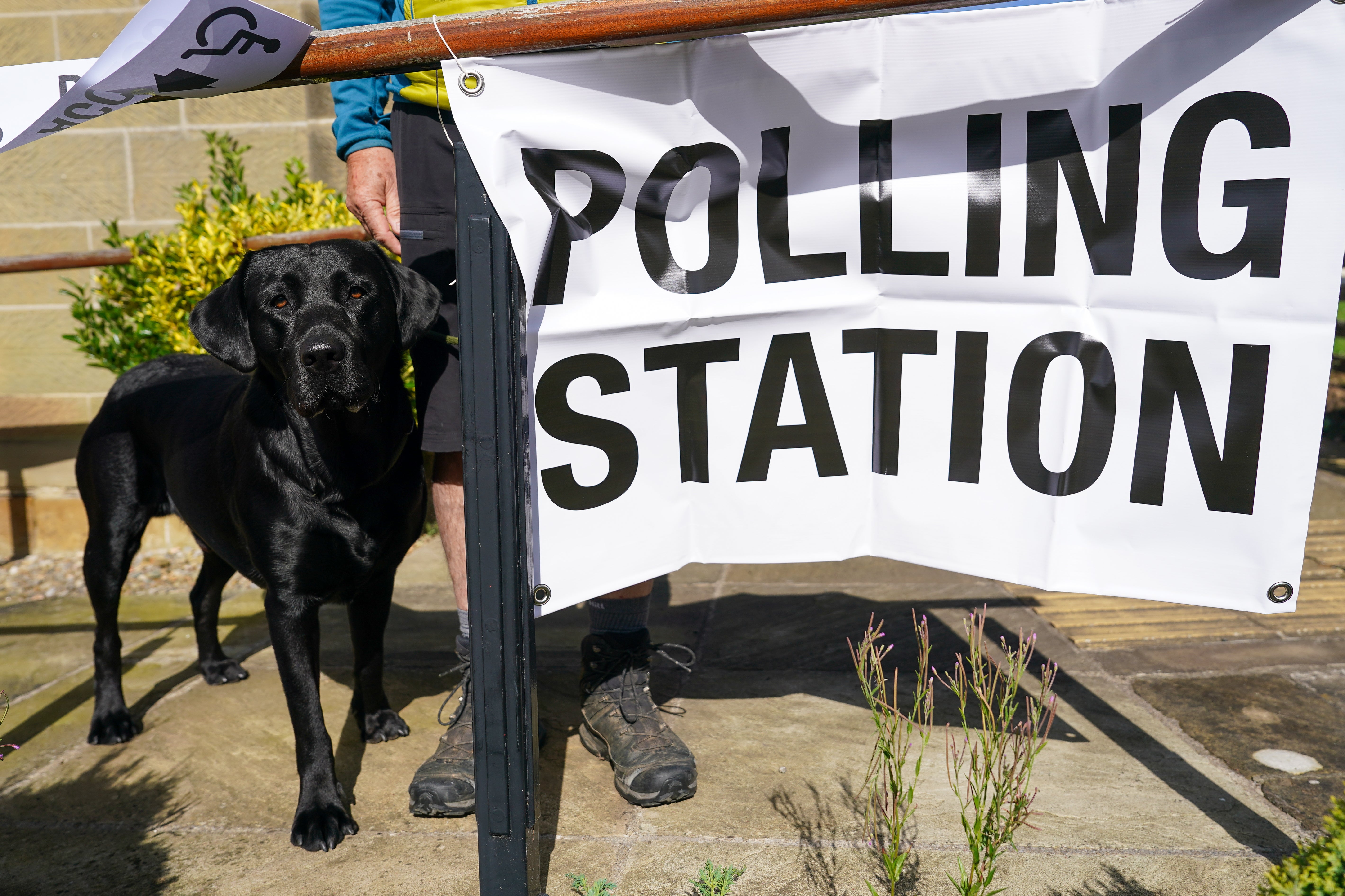 A dog waits outside a polling station as voters go to the polls