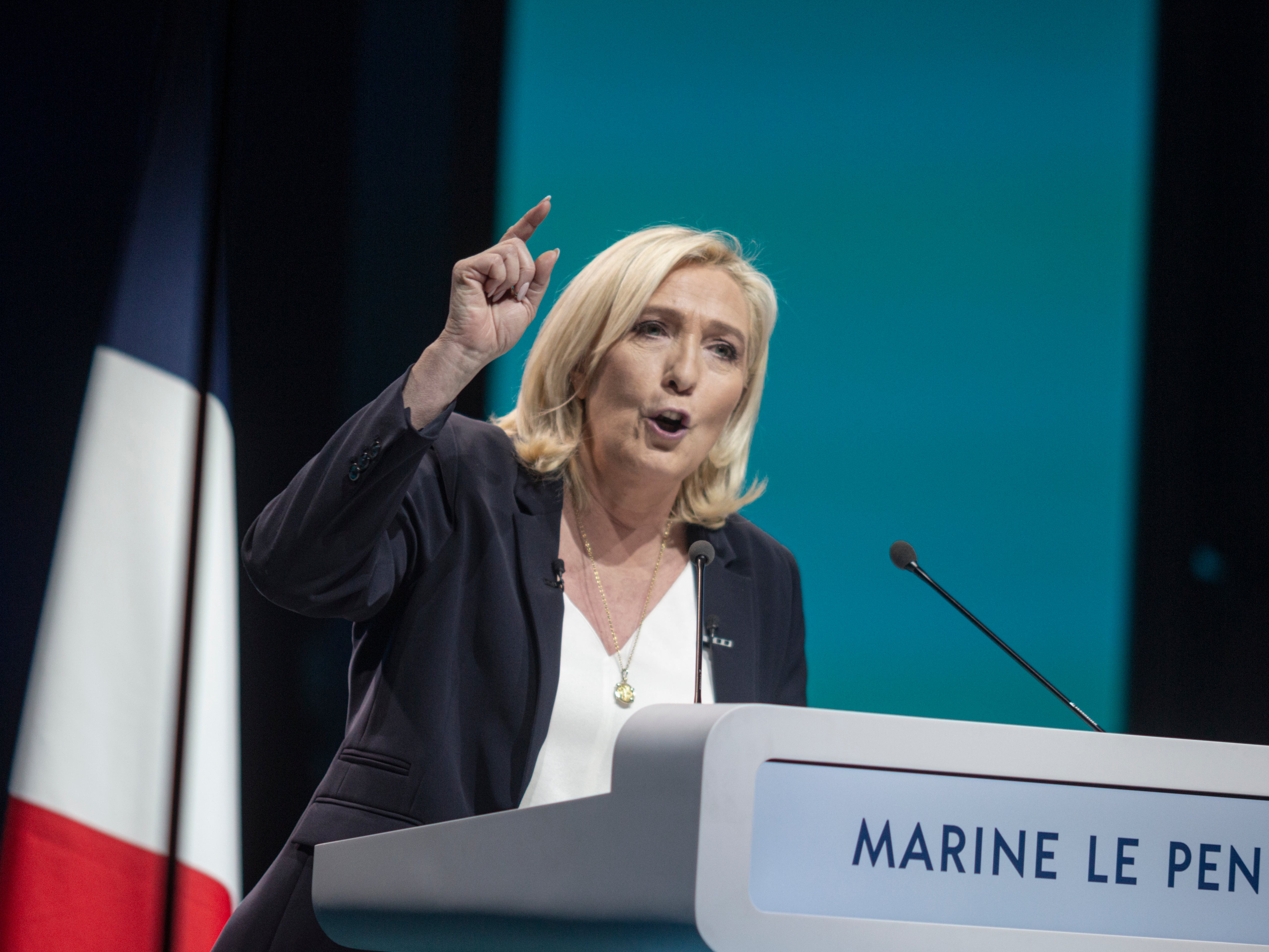 Marine Le Pen has galvanised support for the far-right party, National Rally, created by her father