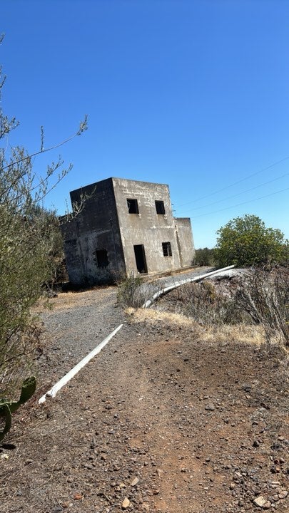 Mr Fahim had scoured the abandoned buildings, ravines and cactus-infested paths near Masca for two weeks