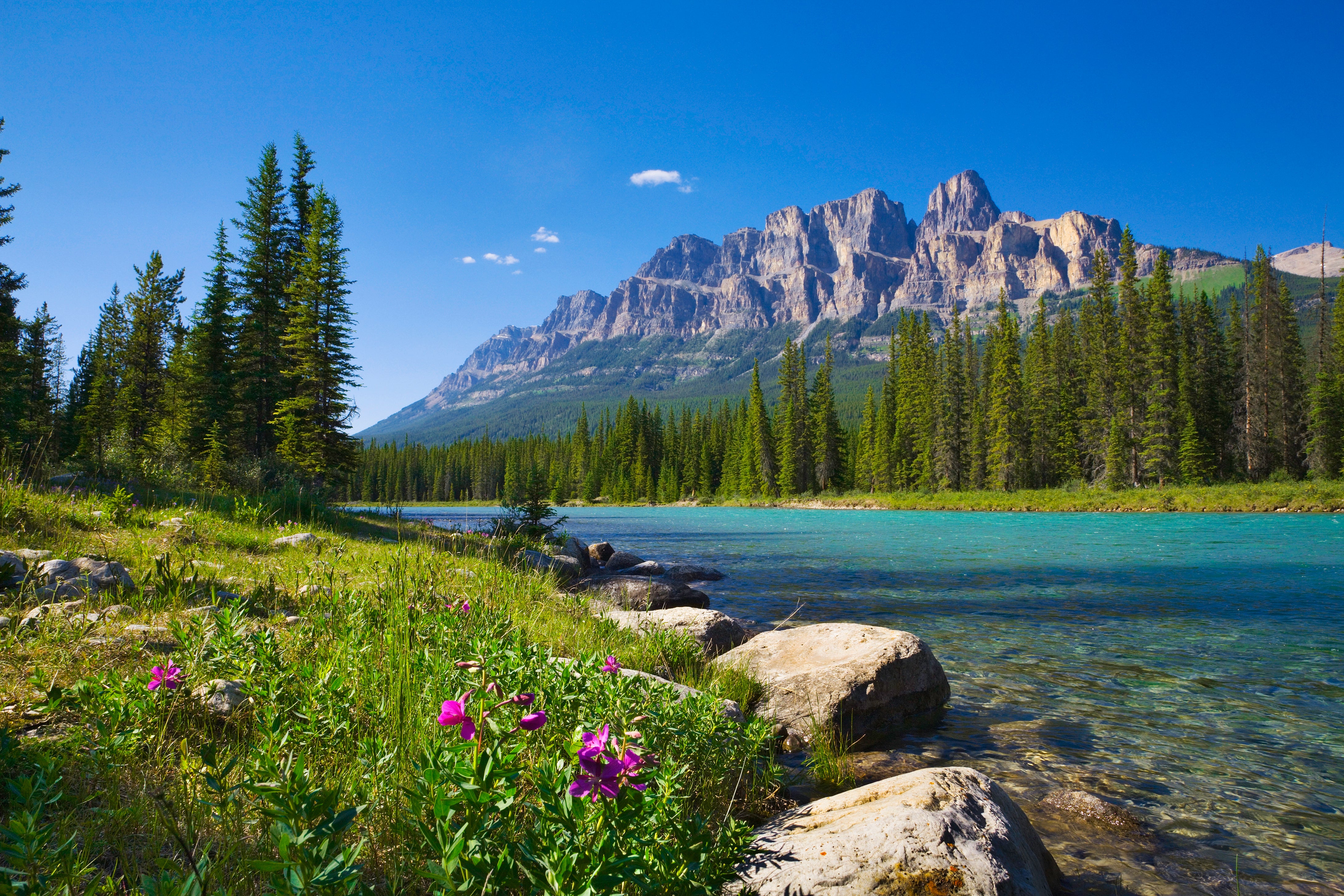 Explore the forests and lakes of Canada’s national parks on four wheels