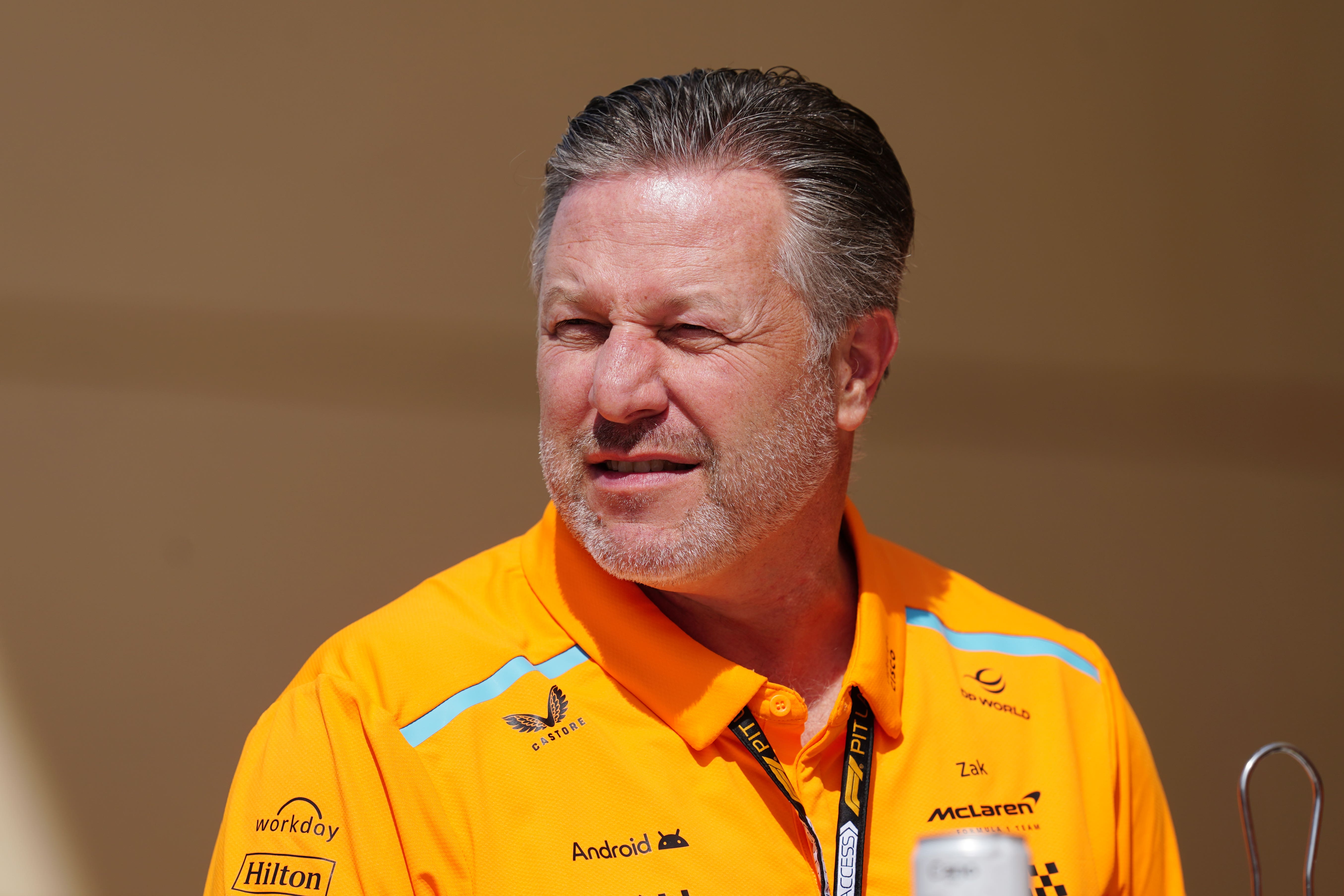 Zak Brown (pictured) has taken aim at Christian Horner (David Davies/PA)