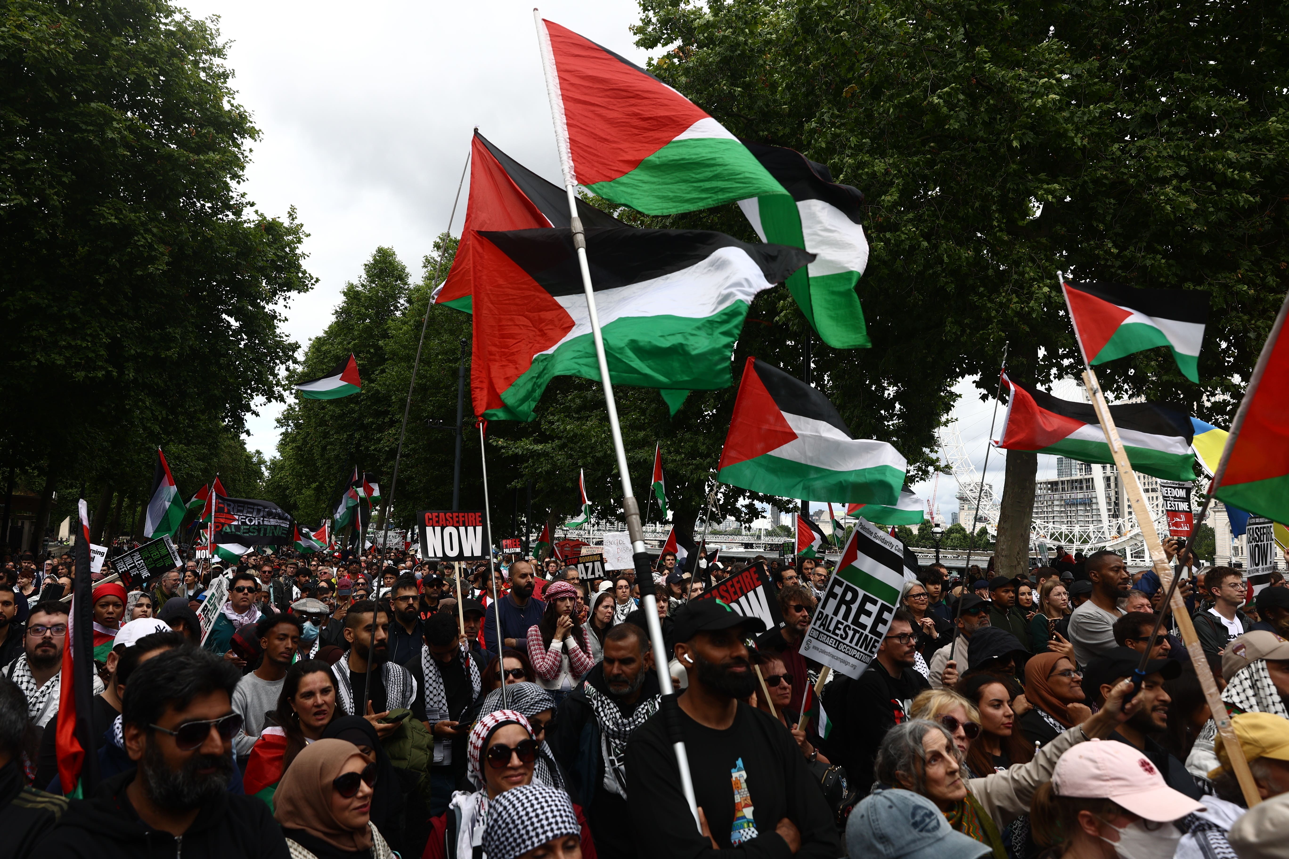 People take part in a pro-Palestine march in central London organised by the Palestine Solidarity Campaign (Tejas Sandhu/PA)