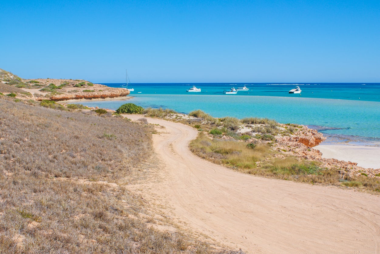 Attack happened south of Coral Bay on WA coast