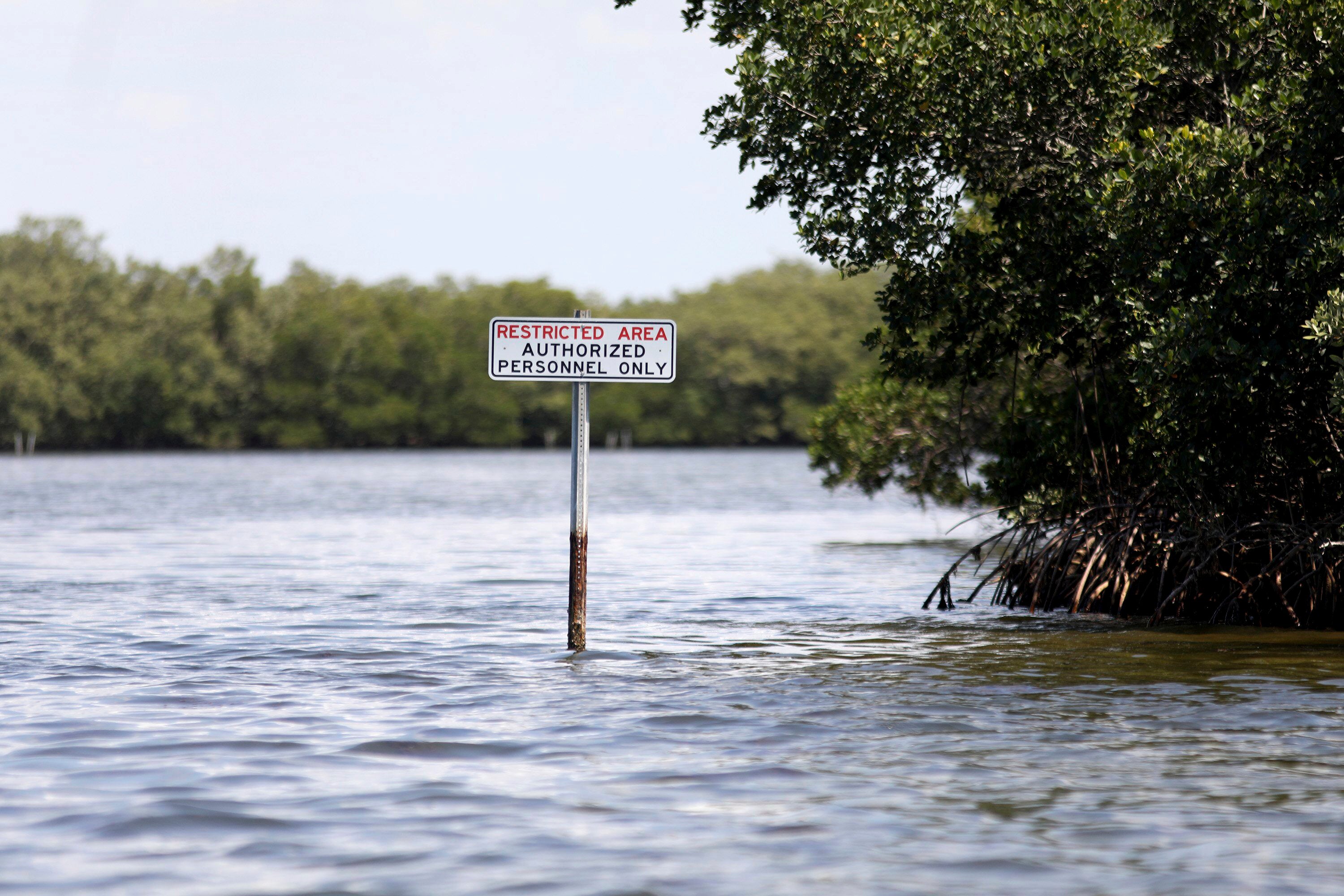 Leaky Reservoir Settlement