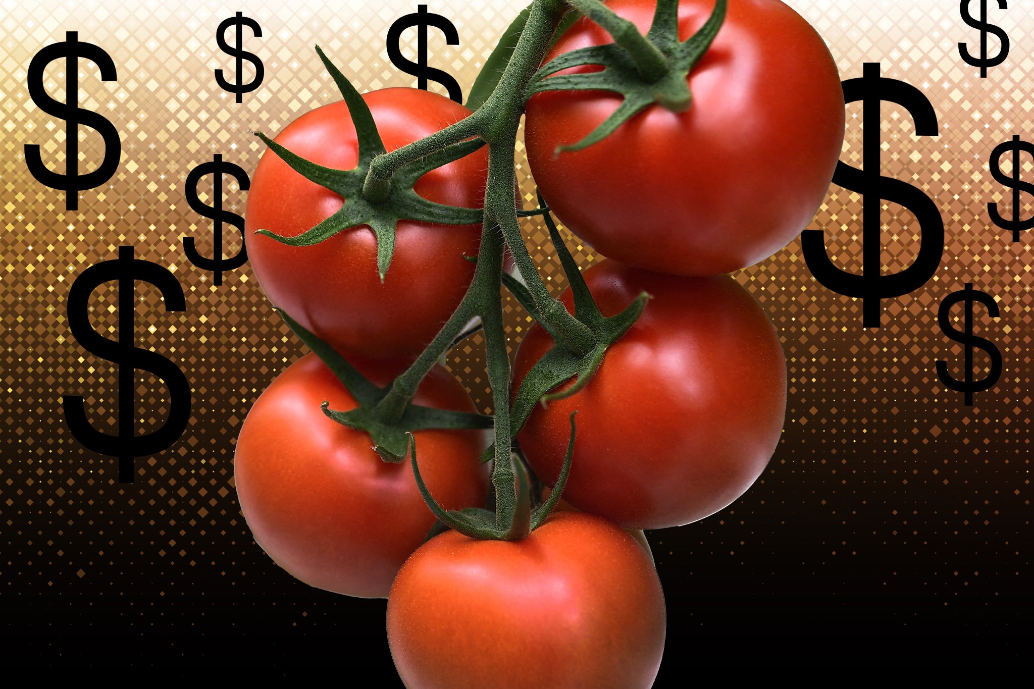 Seeing red: are we heading towards a future where super-priced vegetables are the norm?