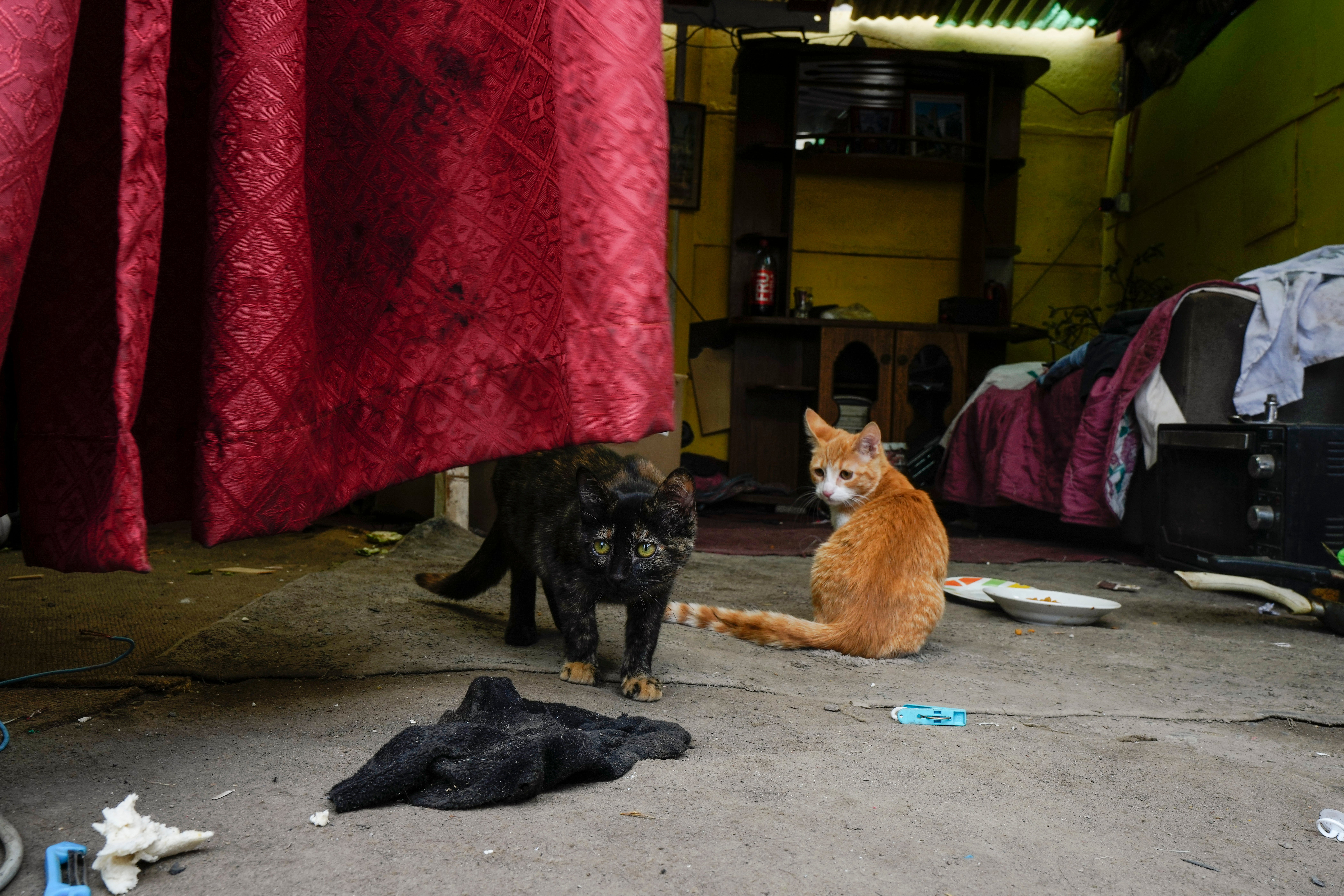 Chile Homeless Crisis