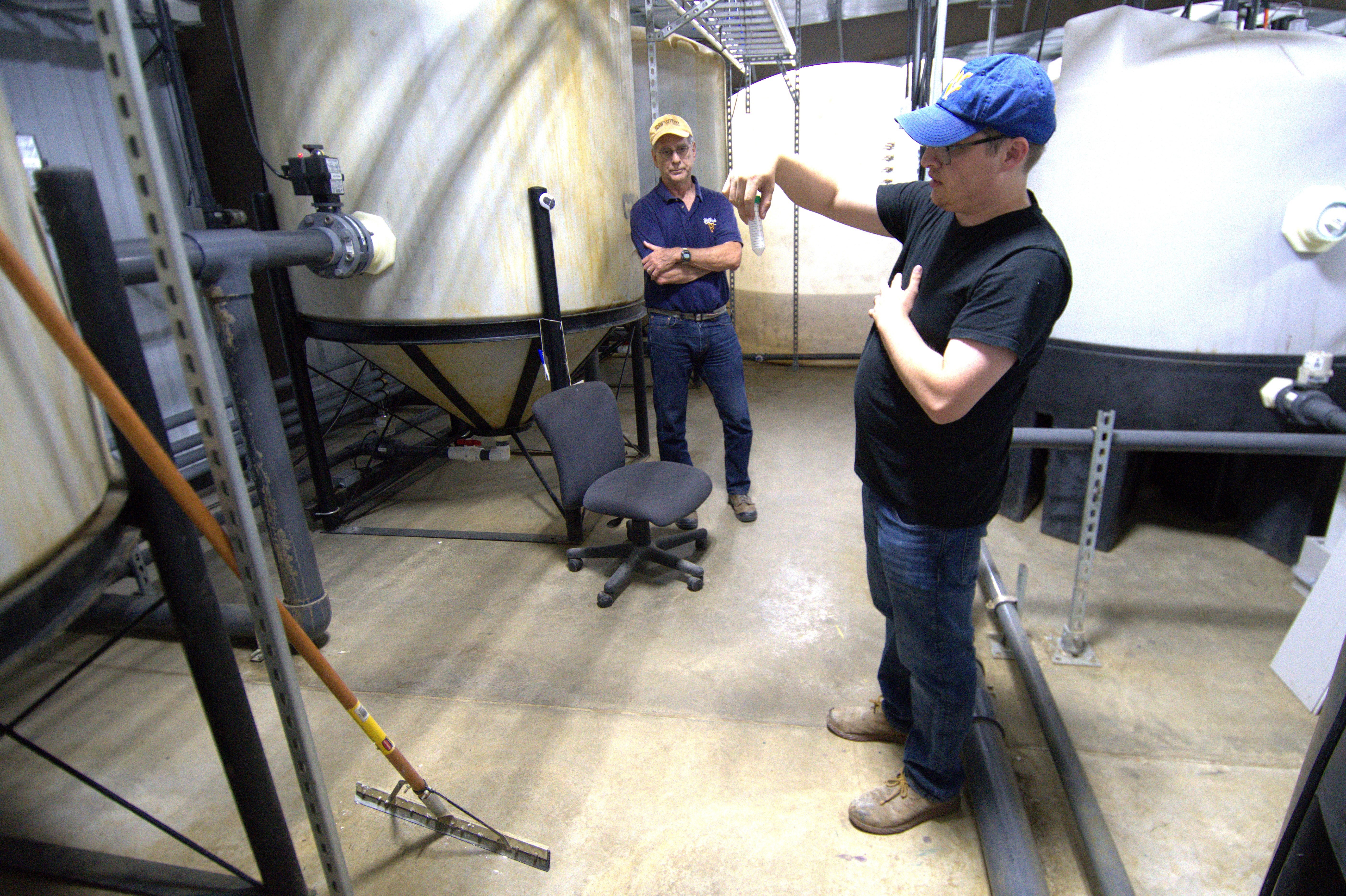 Coal Waste Clean Energy