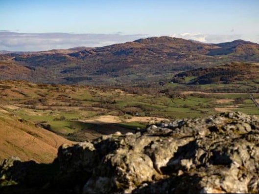 The government has promised to coordinate nature recovery with major landowners