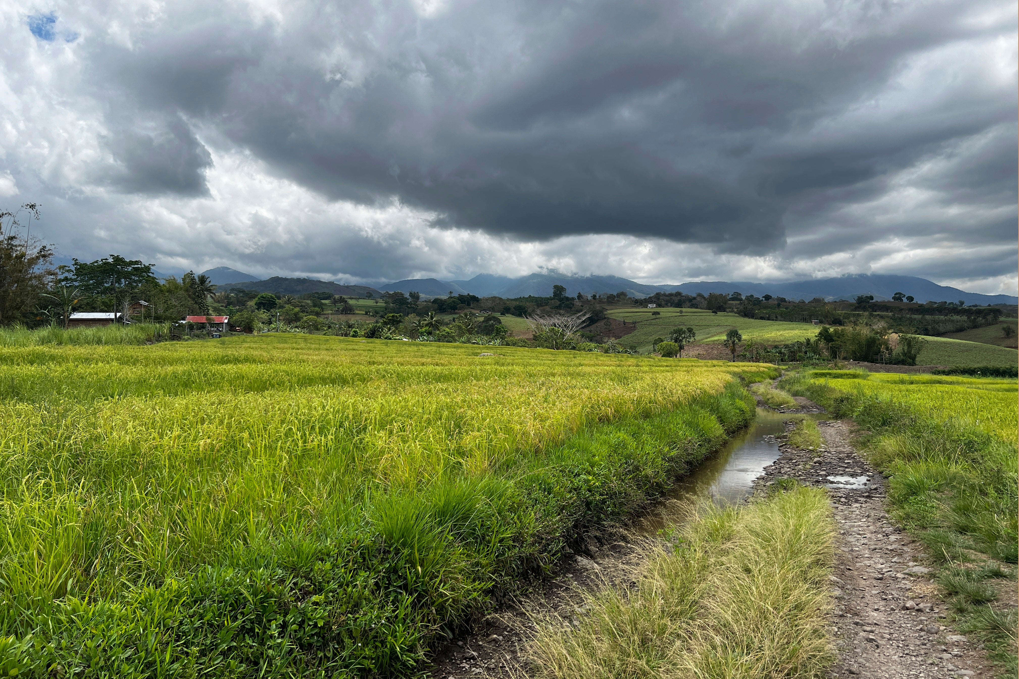 Climate Alternative Insurance