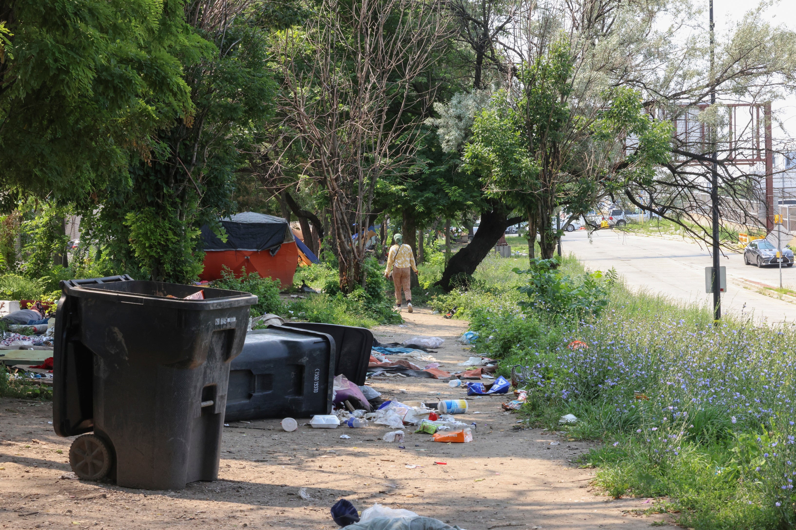 Election-2024-DNC-Homeless