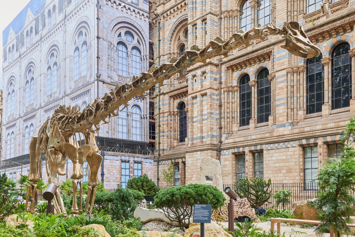 The venture in central London contains a brand-new bronze dinosaur – a giant 22-metre-long Diplodocus. (Trustees of the Natural History Museum/PA)