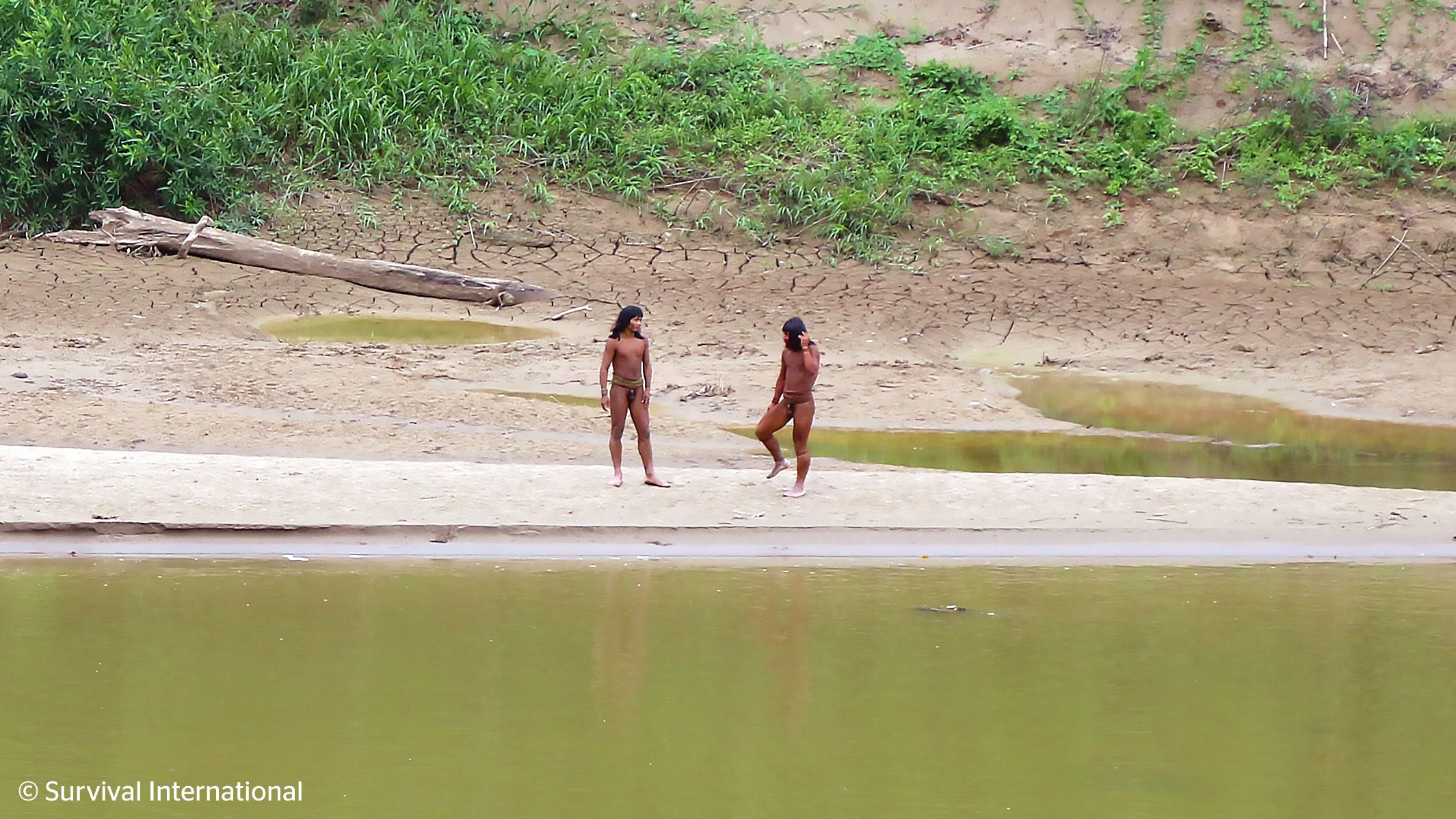 Members of the Mashco Piro Indigenous community, a reclusive tribe and one of the world’s most withdrawn