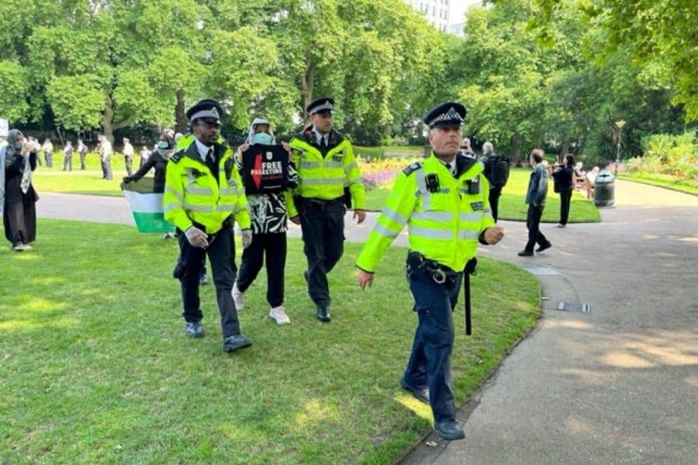 A supporter of protest group Youth Demand is detained (Harry Stedman/PA)