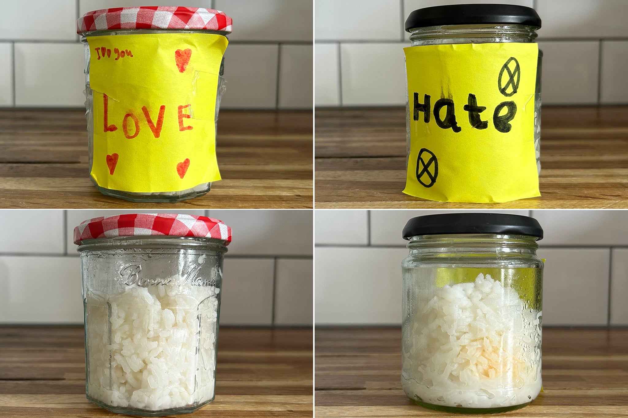 When Charlotte Cripps and her two children conducted Emoto’s famous rice experiment, the rice in the ‘hate’ jar turned yellow