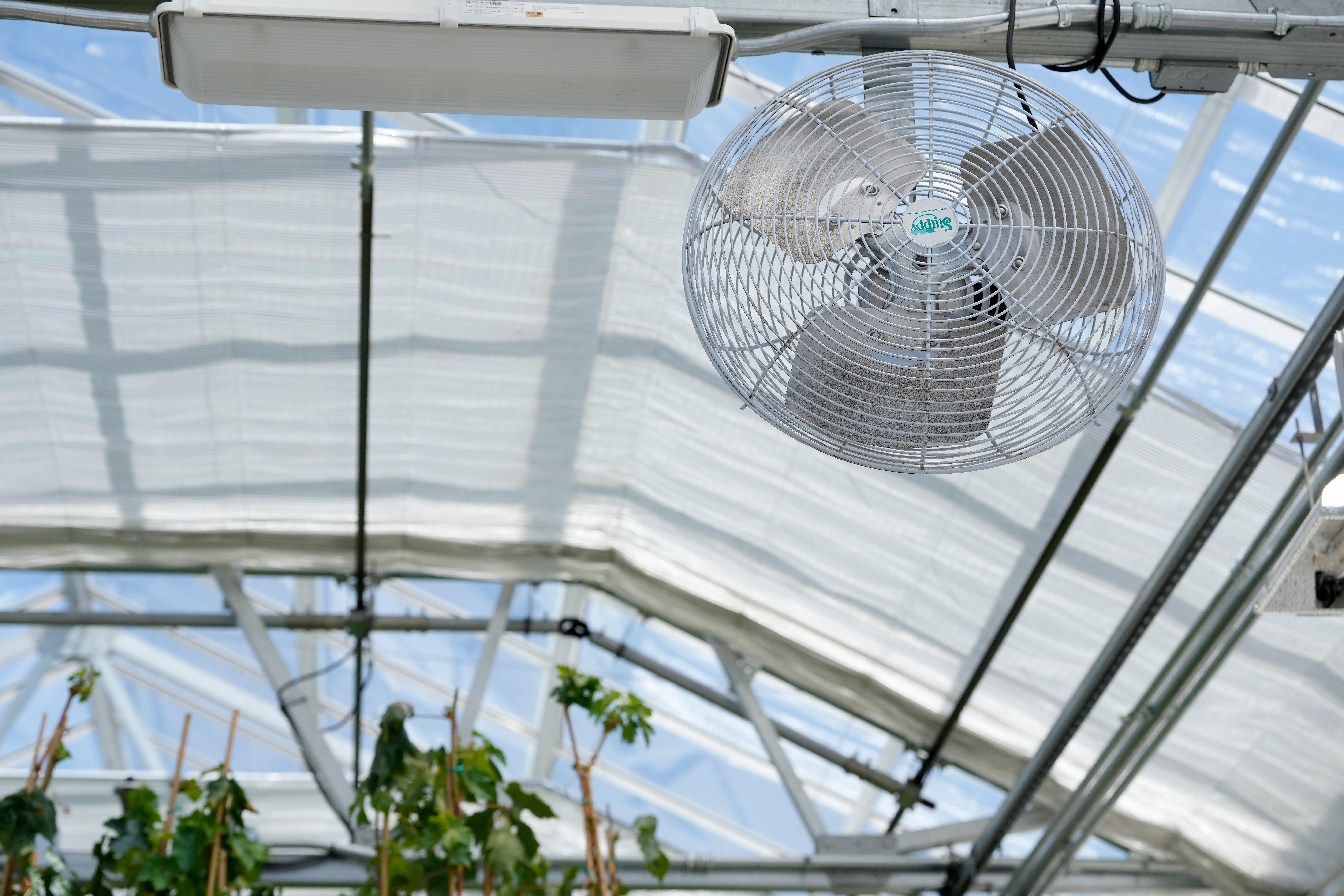 Climate Greenhouses Heat What We Know