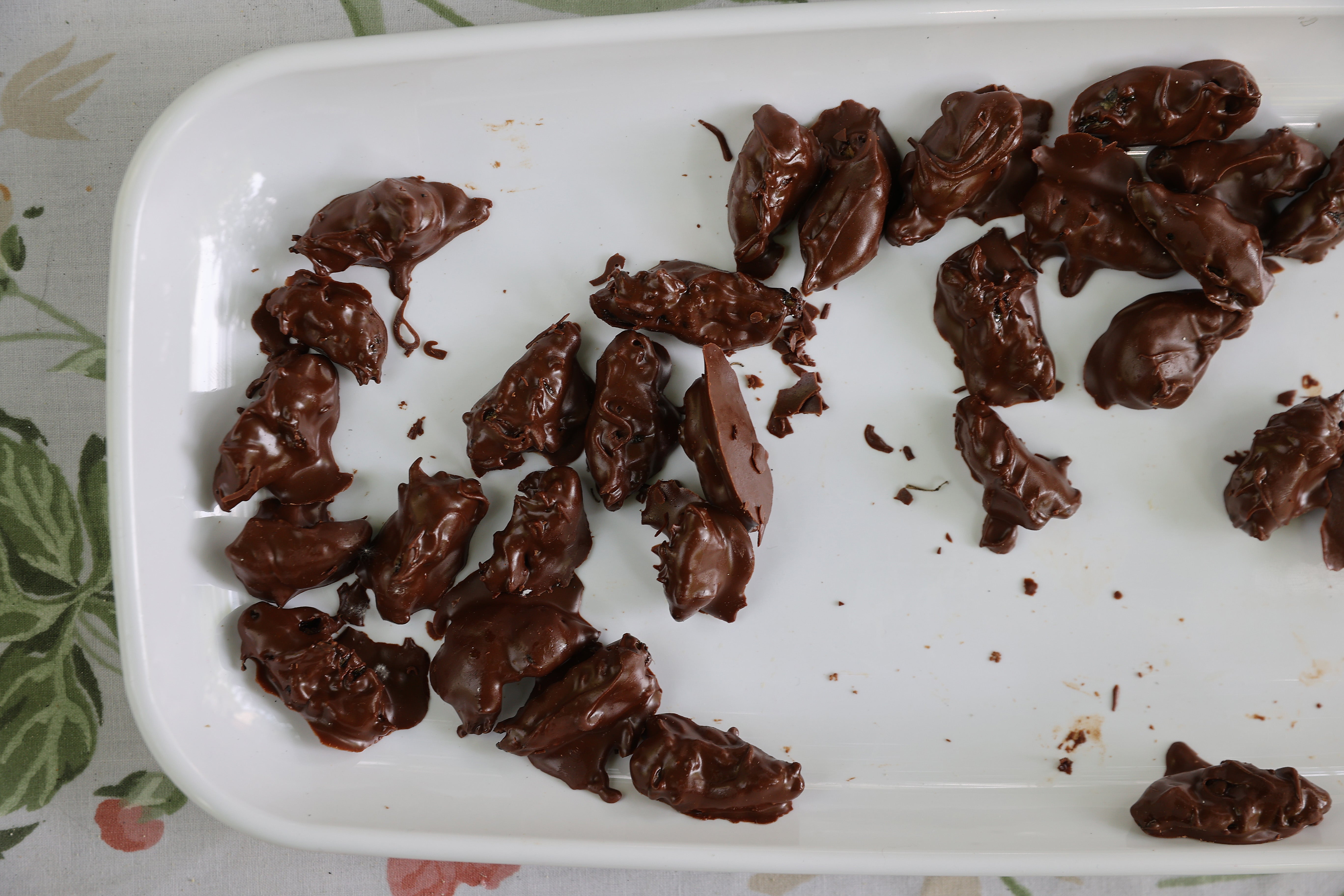 Chocolate covered bugs, including cicadas have become a horrifying staple at state fairs across the US