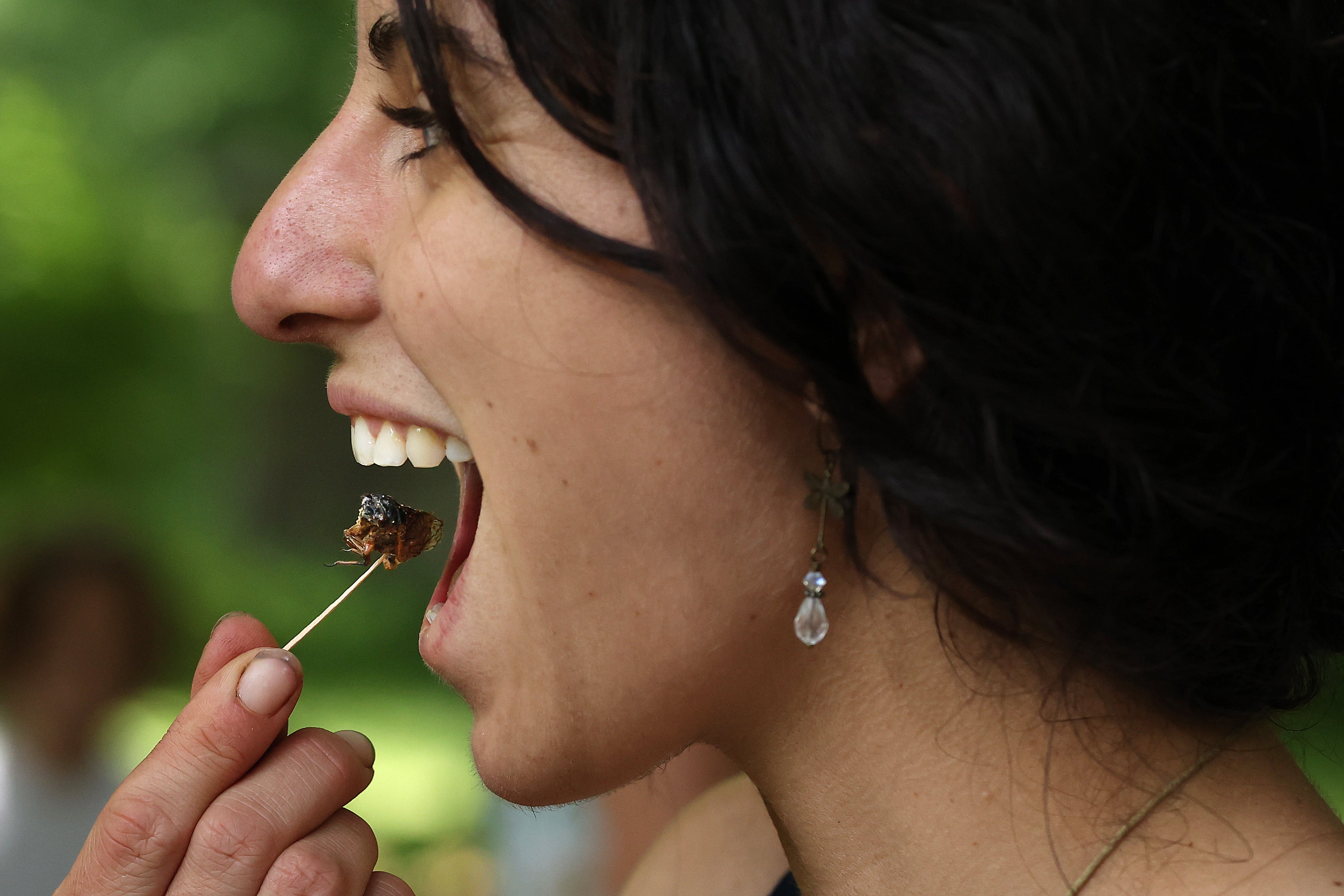 Edible creepy crawlies are offered at a growing numbers of US state fairs