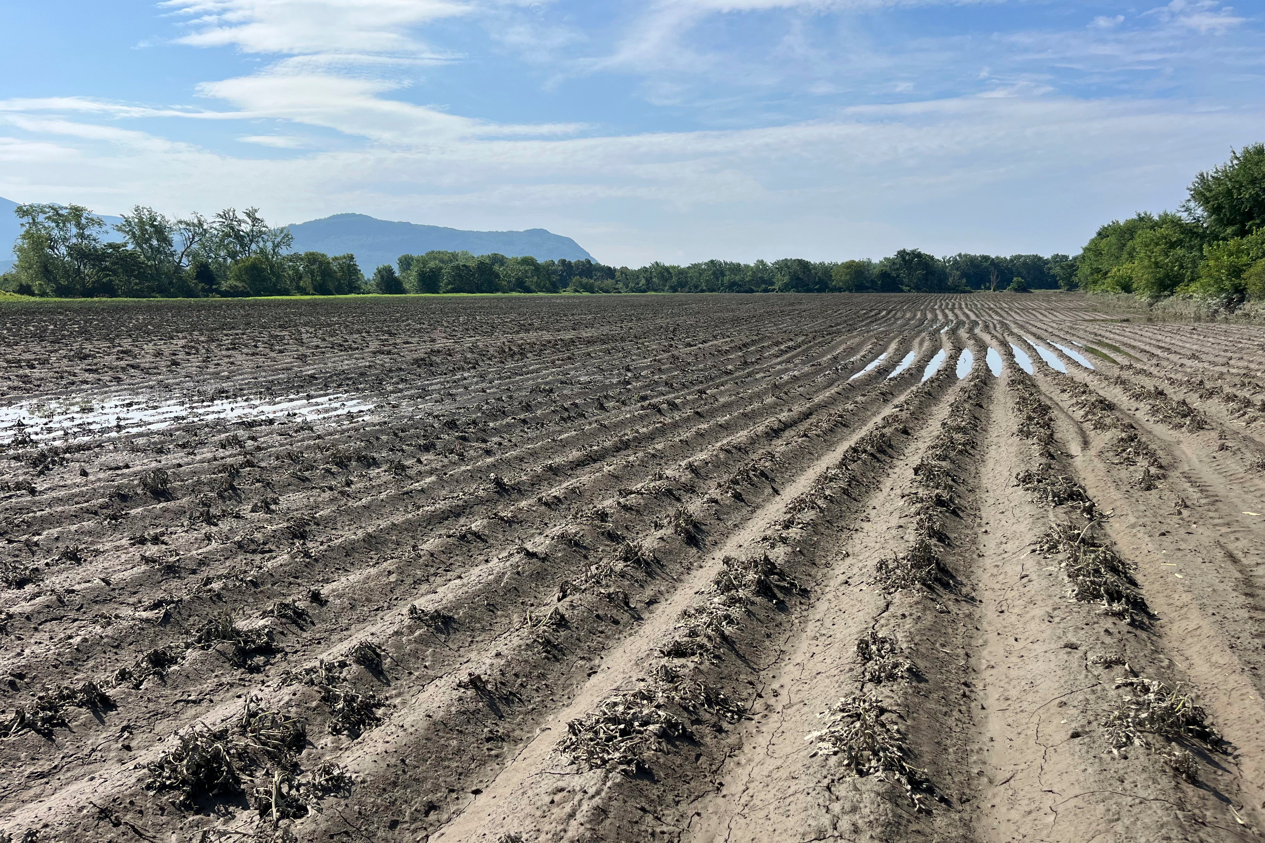 Extreme Weather Vermont Flooding Farms