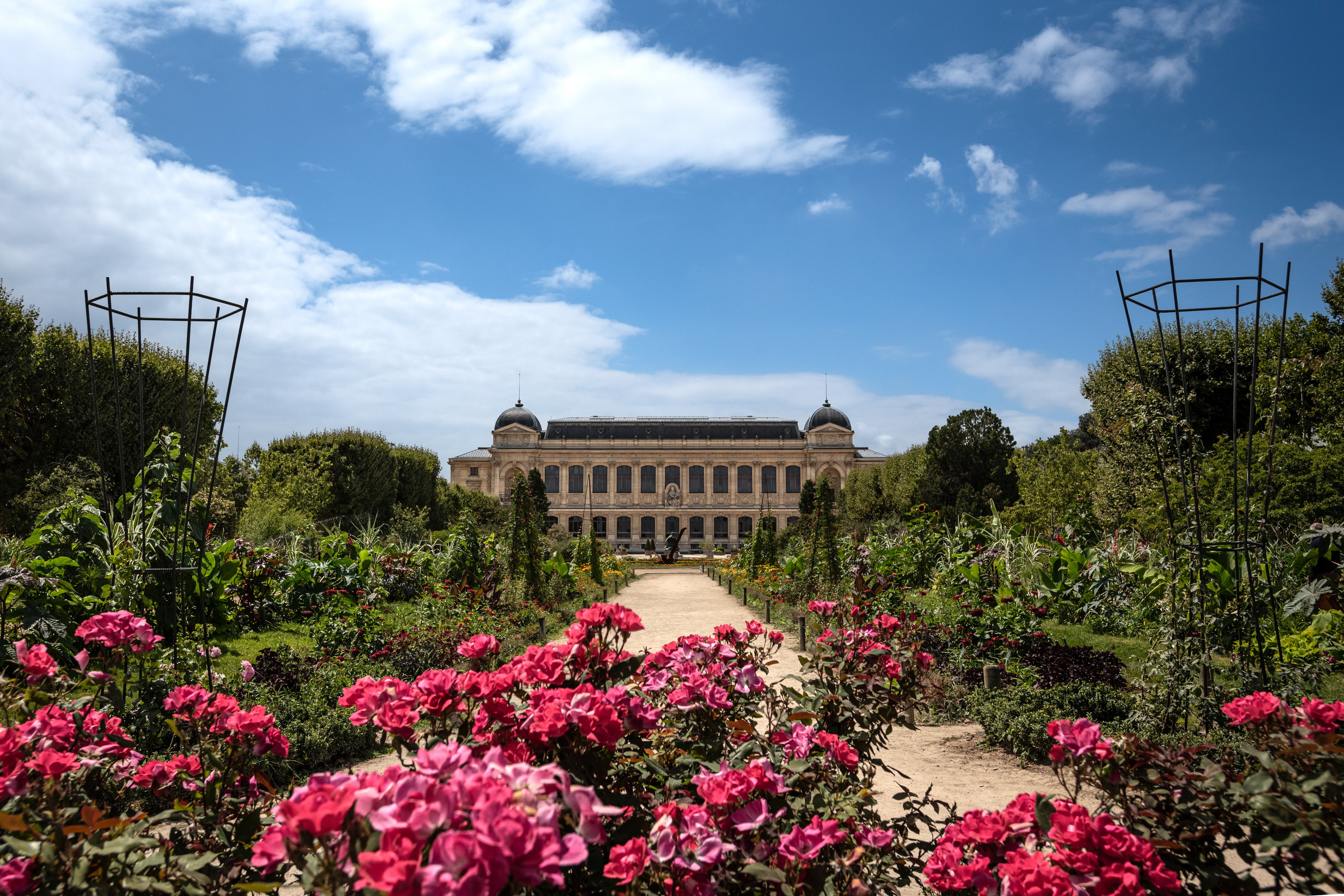 Jardin des Plantes offers an oasis in the heart of the city