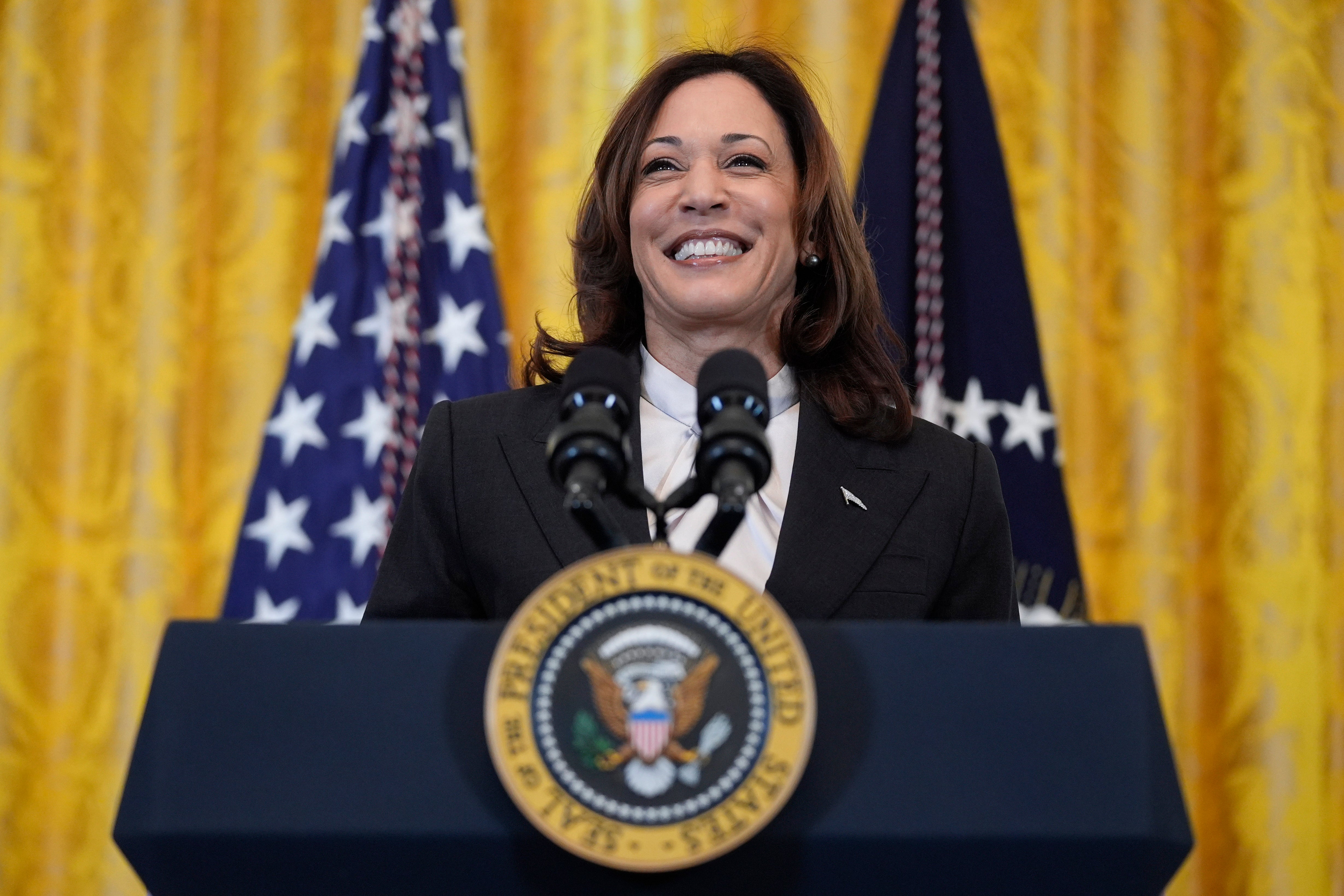 ‘Kamala is brat’: vice-president Kamala Harris has younger generations on her side, like Barack Obama before her