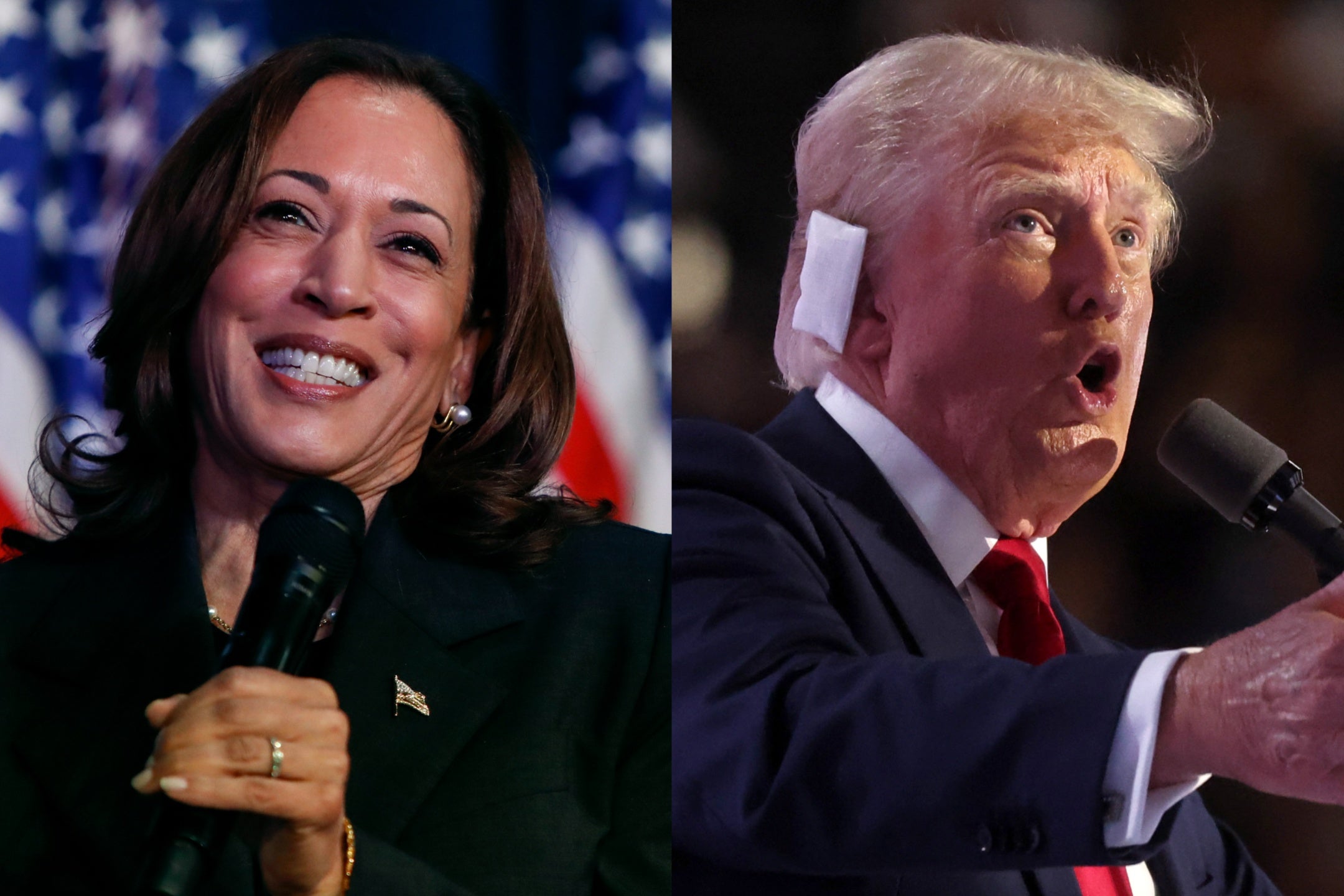 ‘Harris is smiling, optimistic, youthful, articulate, forensic and smart. Trump is the distinct opposite’