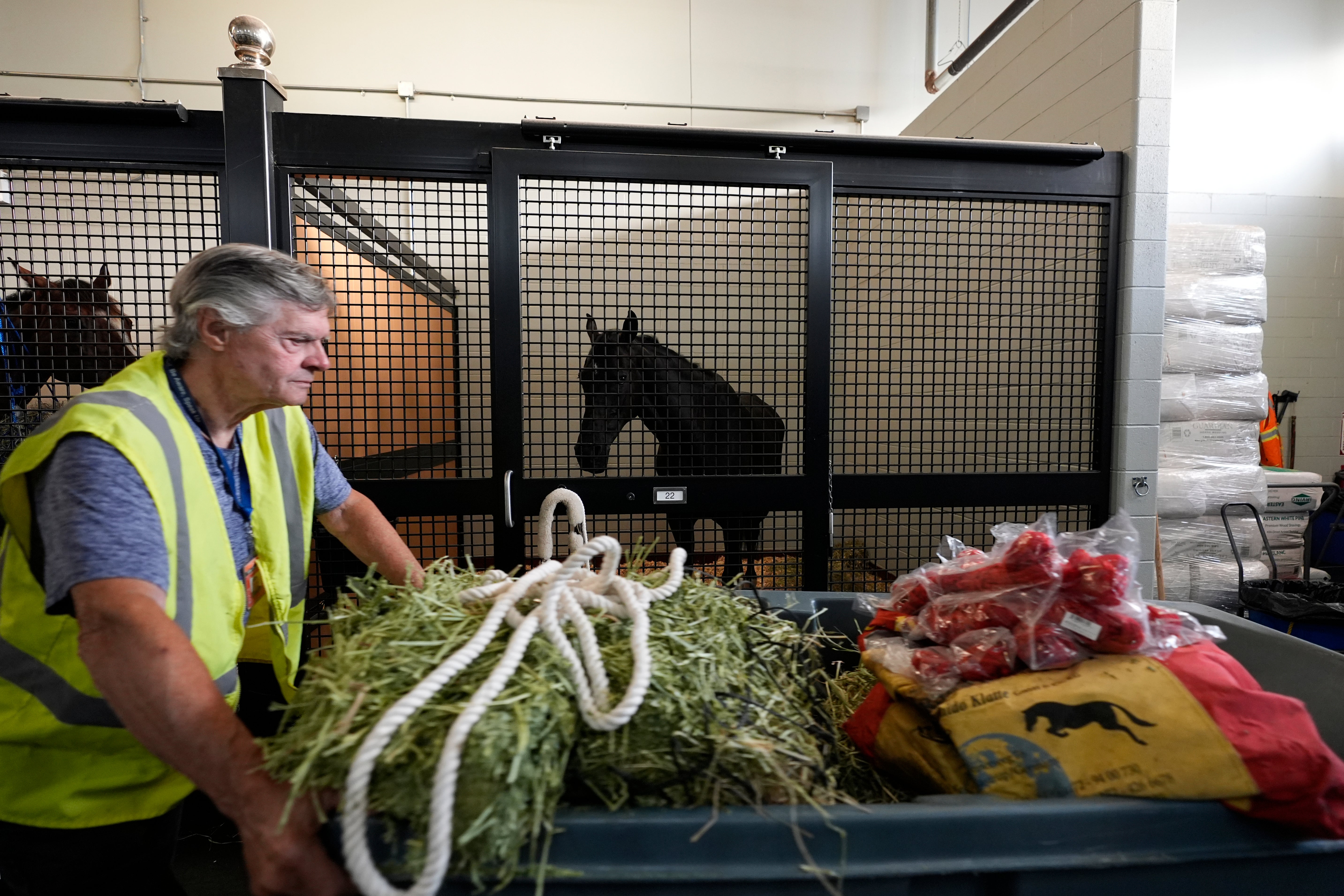 A staff member pushes a cart full of supplies past horses in their holding pens at The Ark at John F. Kennedy International Airport in New York,