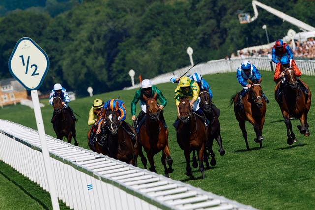 <p>Auguste Rodin won on day two of Royal Ascot in June </p>