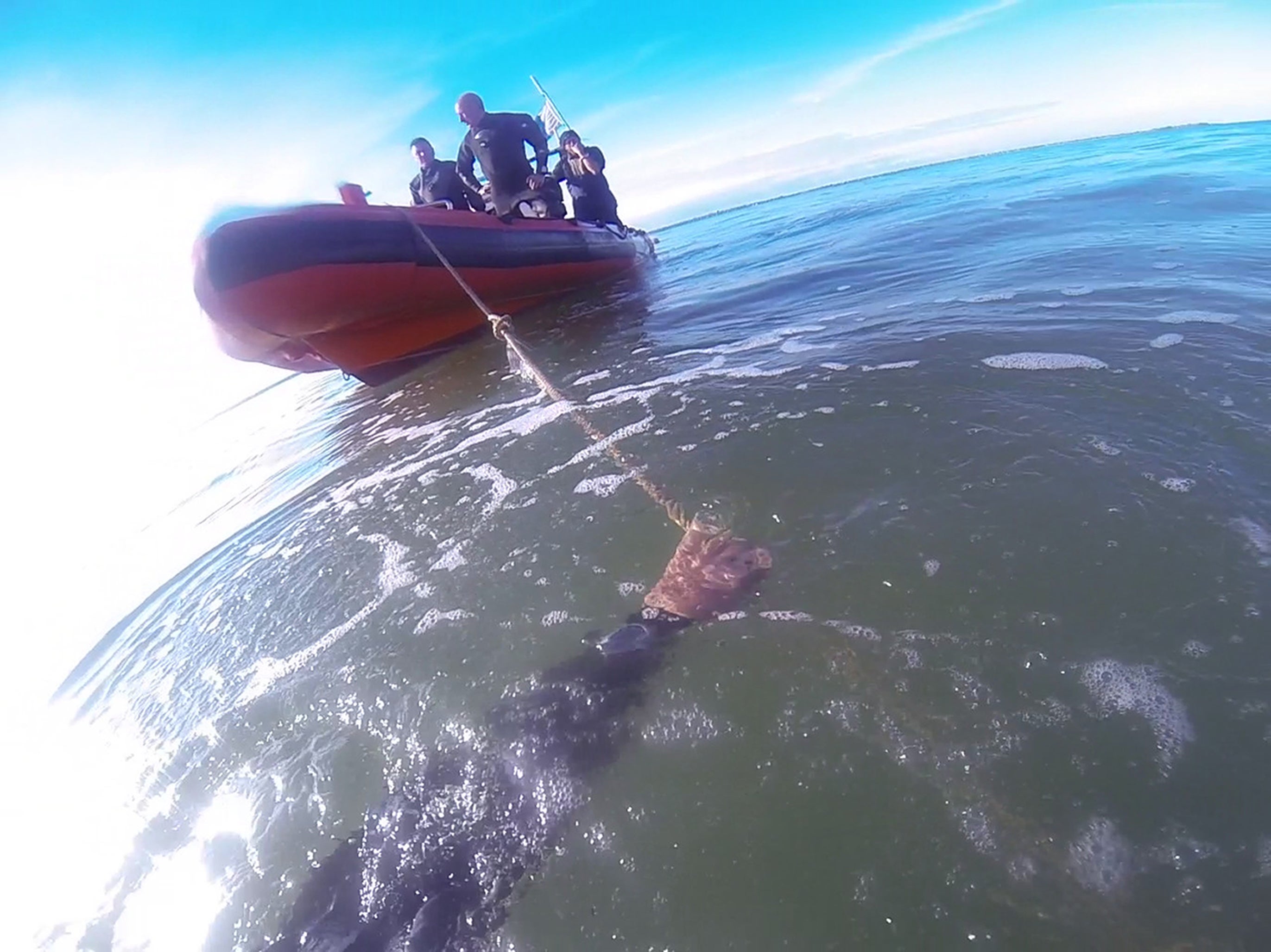 Divers in the Thames Estuary off Southend Pier. A diver has discovered a bronze cannon on the shipwreck of a warship that was destroyed by a gunpowder explosion and sank in 1665