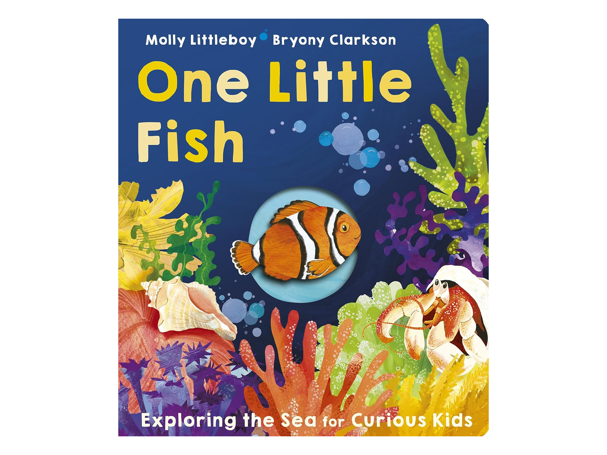 One-little-fish-best-non-fiction-book-for-kids-indybest