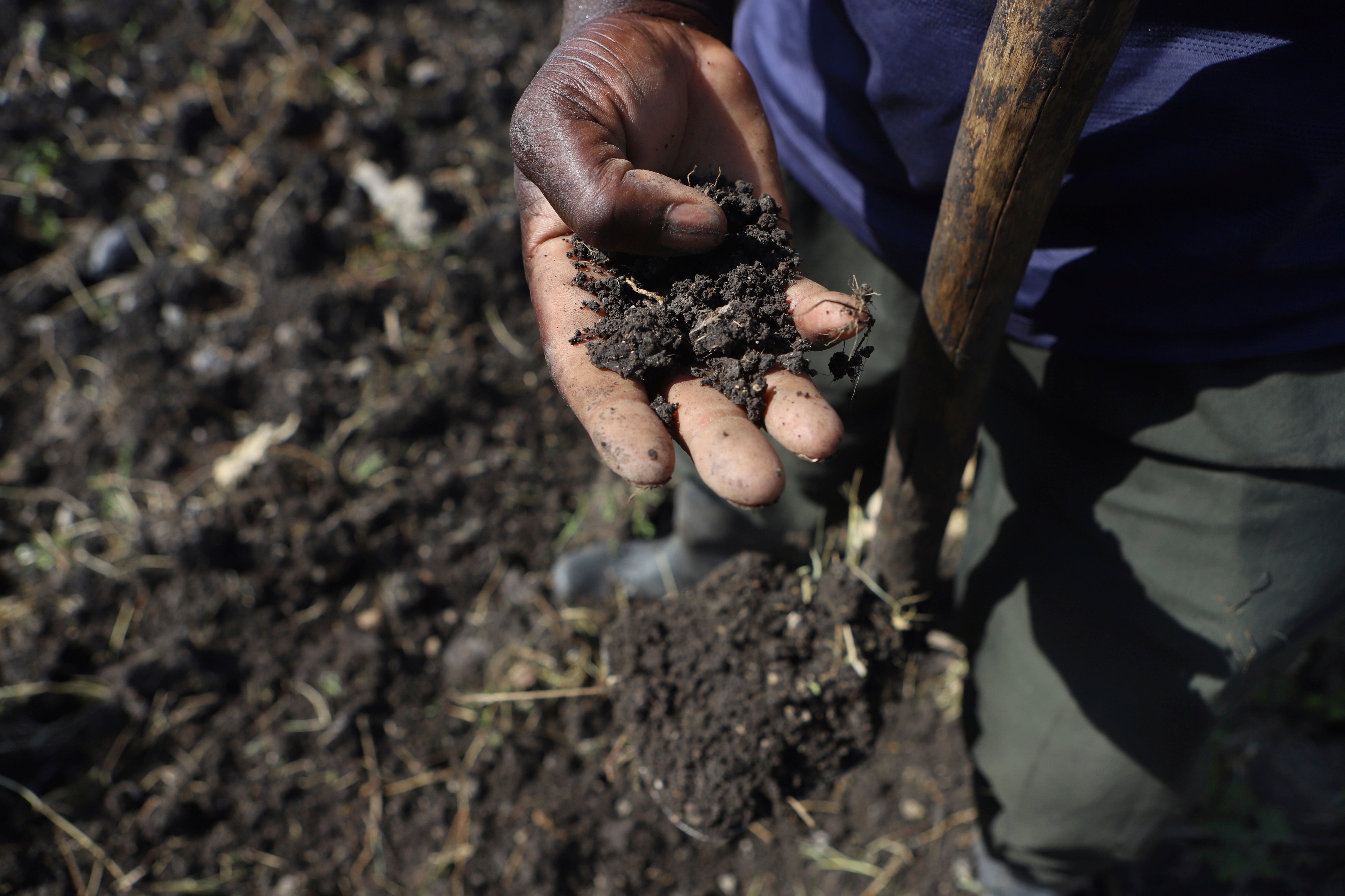 Kenya Dying Soils