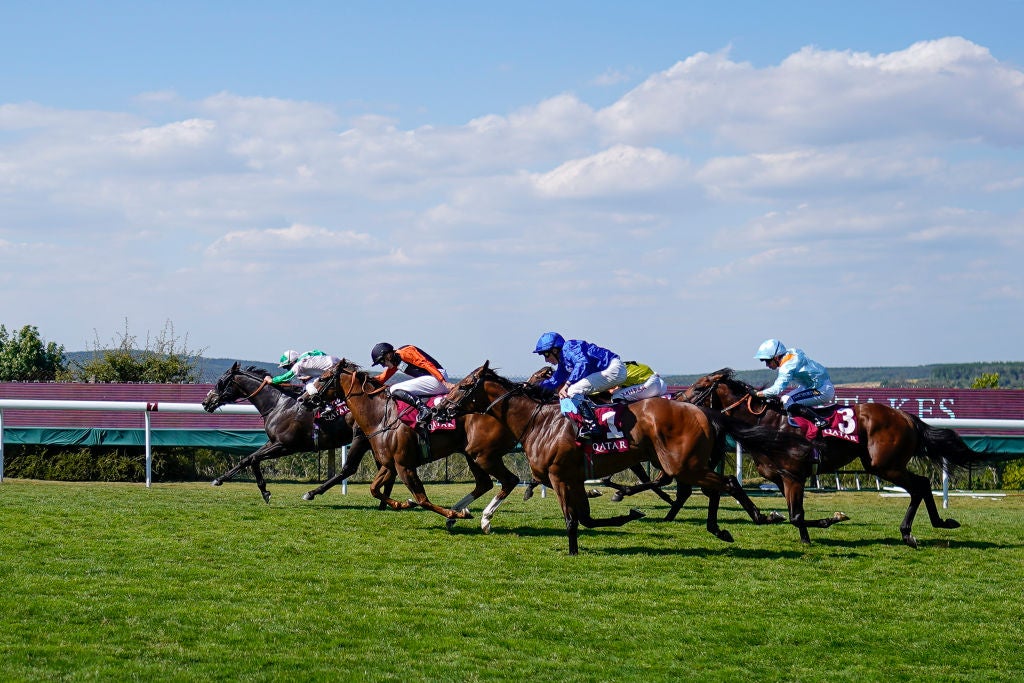 The Qatar Goodwood Festival is colloquially known as ‘Glorious Goodwood’