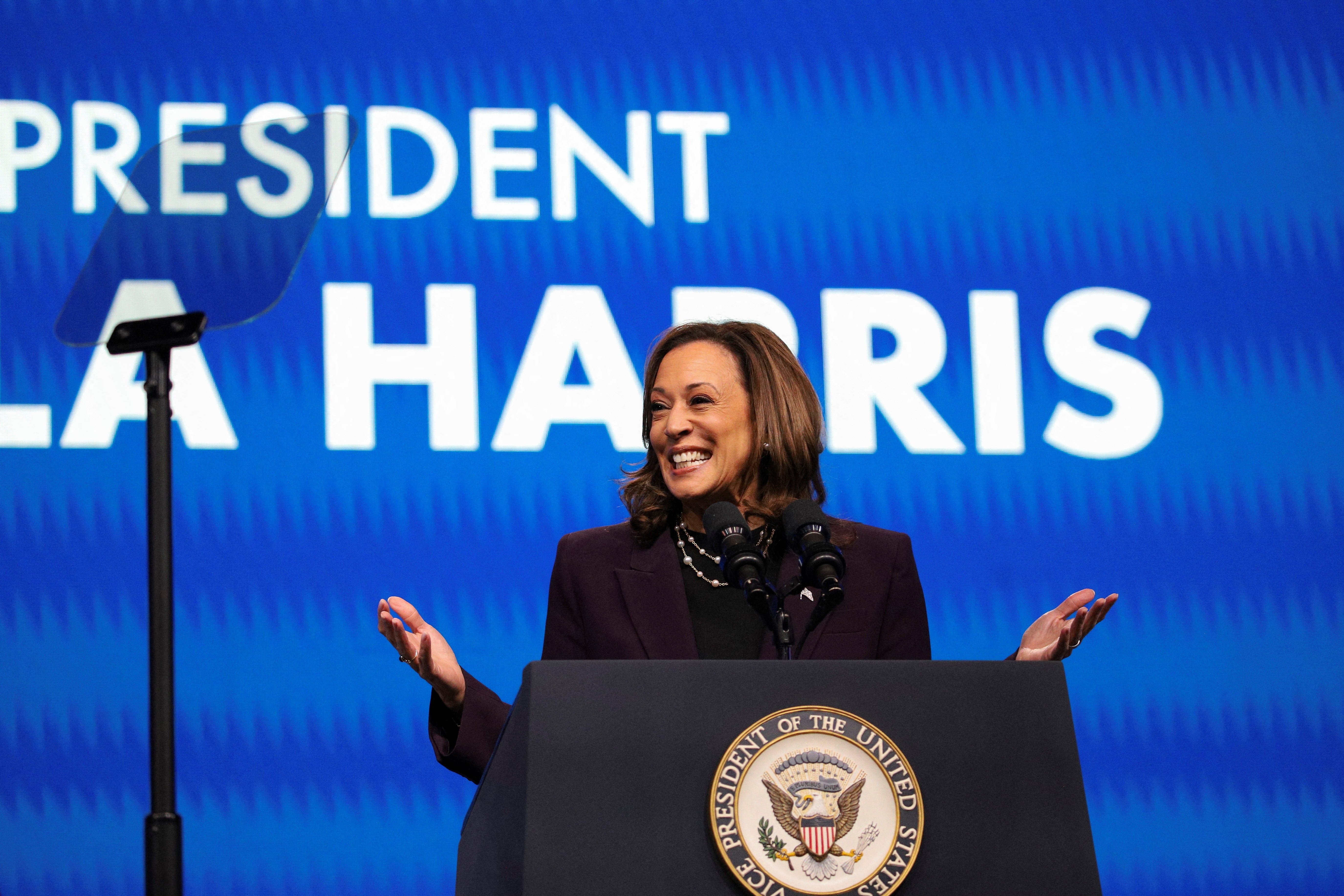 ‘Barring accidents, or an unlikely last-minute challenge, Kamala Harris will now be Donald Trump’s chief rival for the presidency’