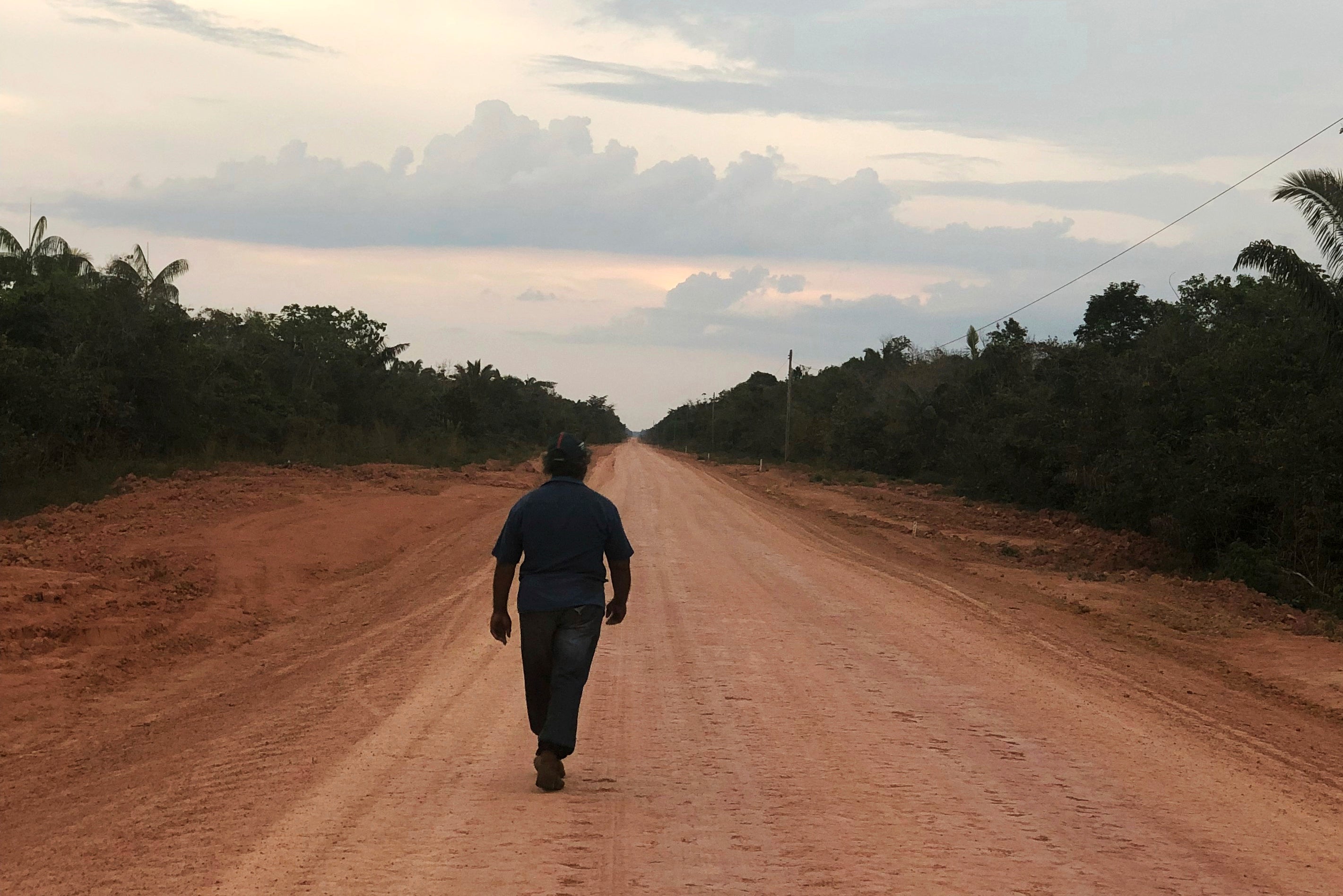 Brazil Court Action Forest