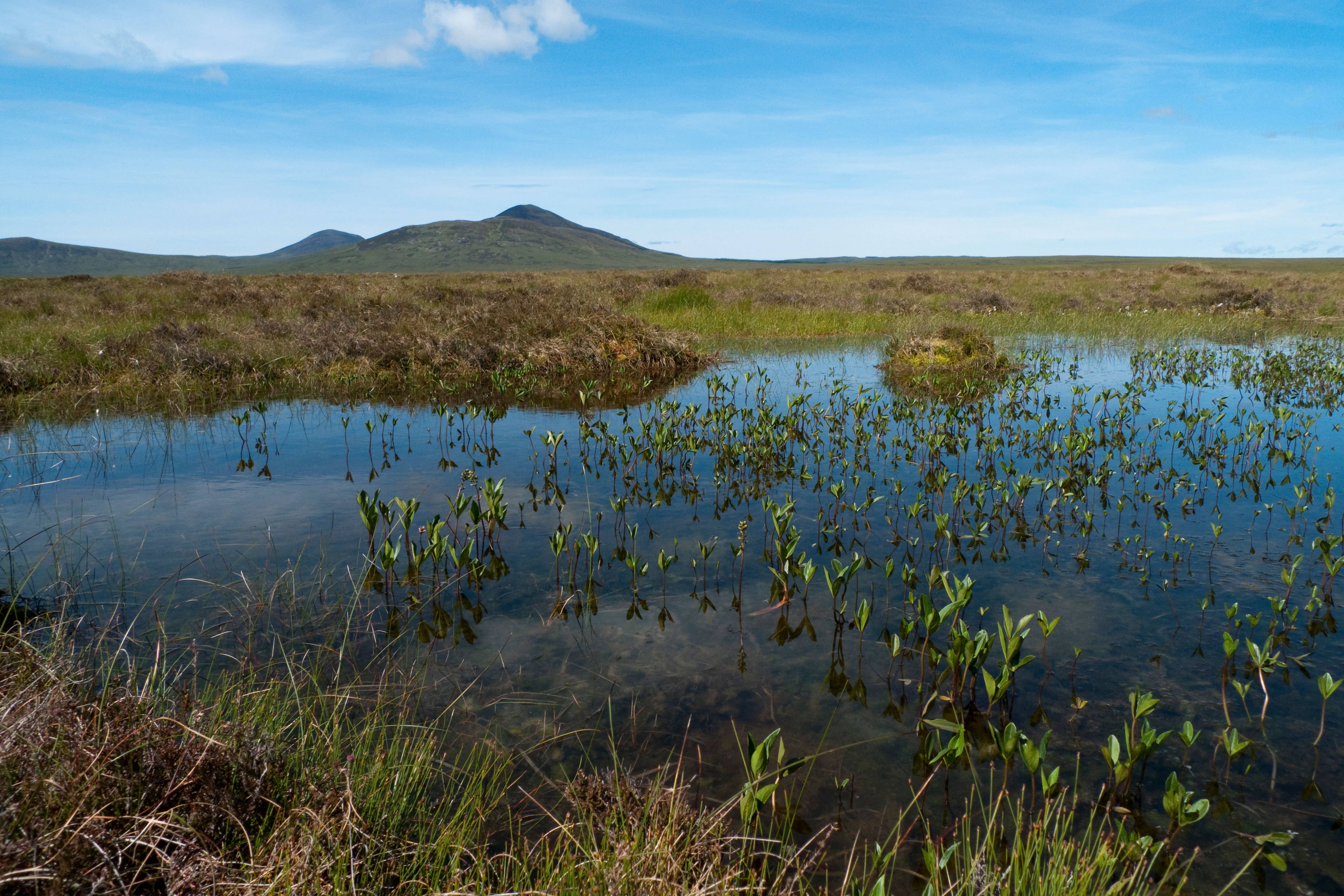 The Flow Country has been granted world heritage status (Alamy/PA)