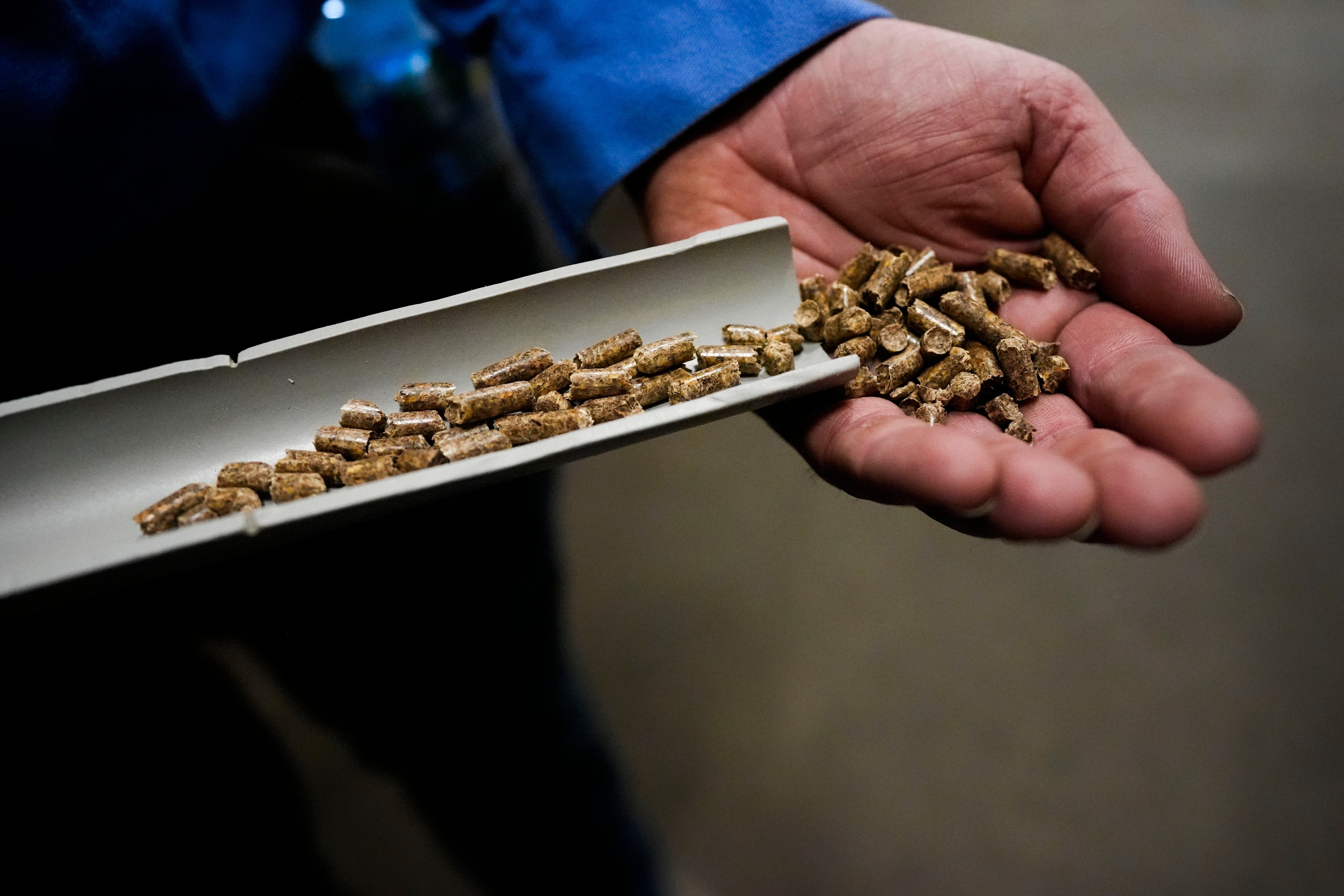 Dan Caston, an employee of Drax, shows some of the wood pellets their plant produces in Gloster