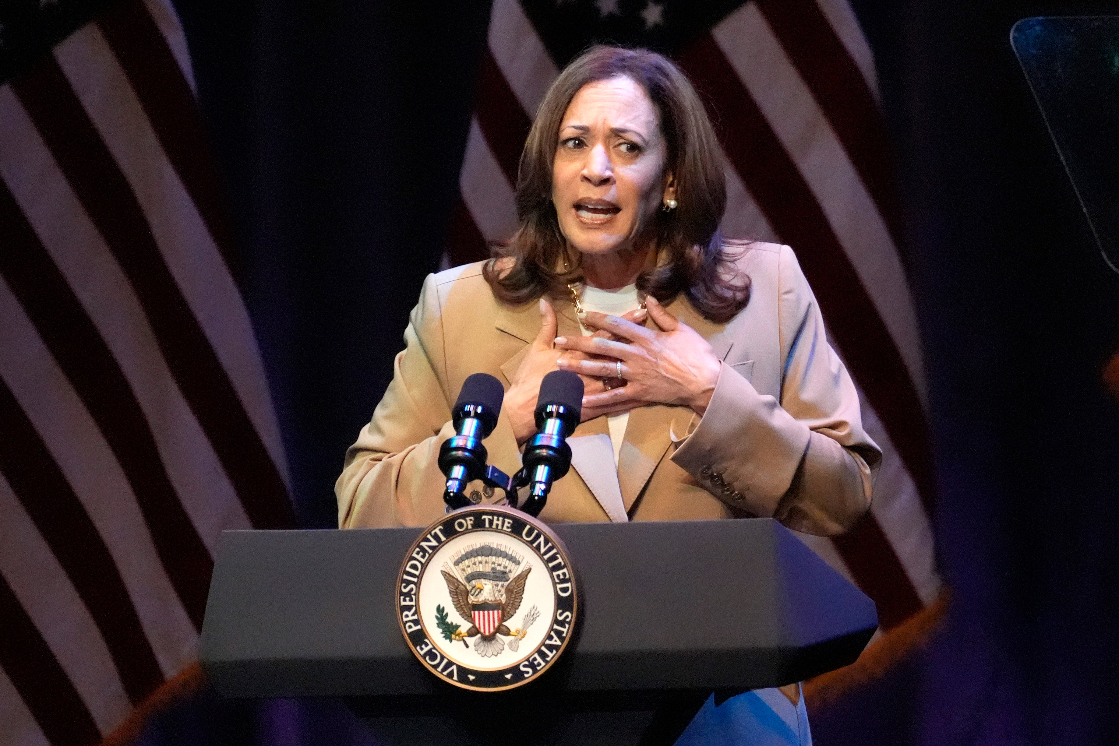 Vice President Kamala Harris delivers remarks at a campaign event in Pittsfield, Mass., Saturday, July 27, 2024